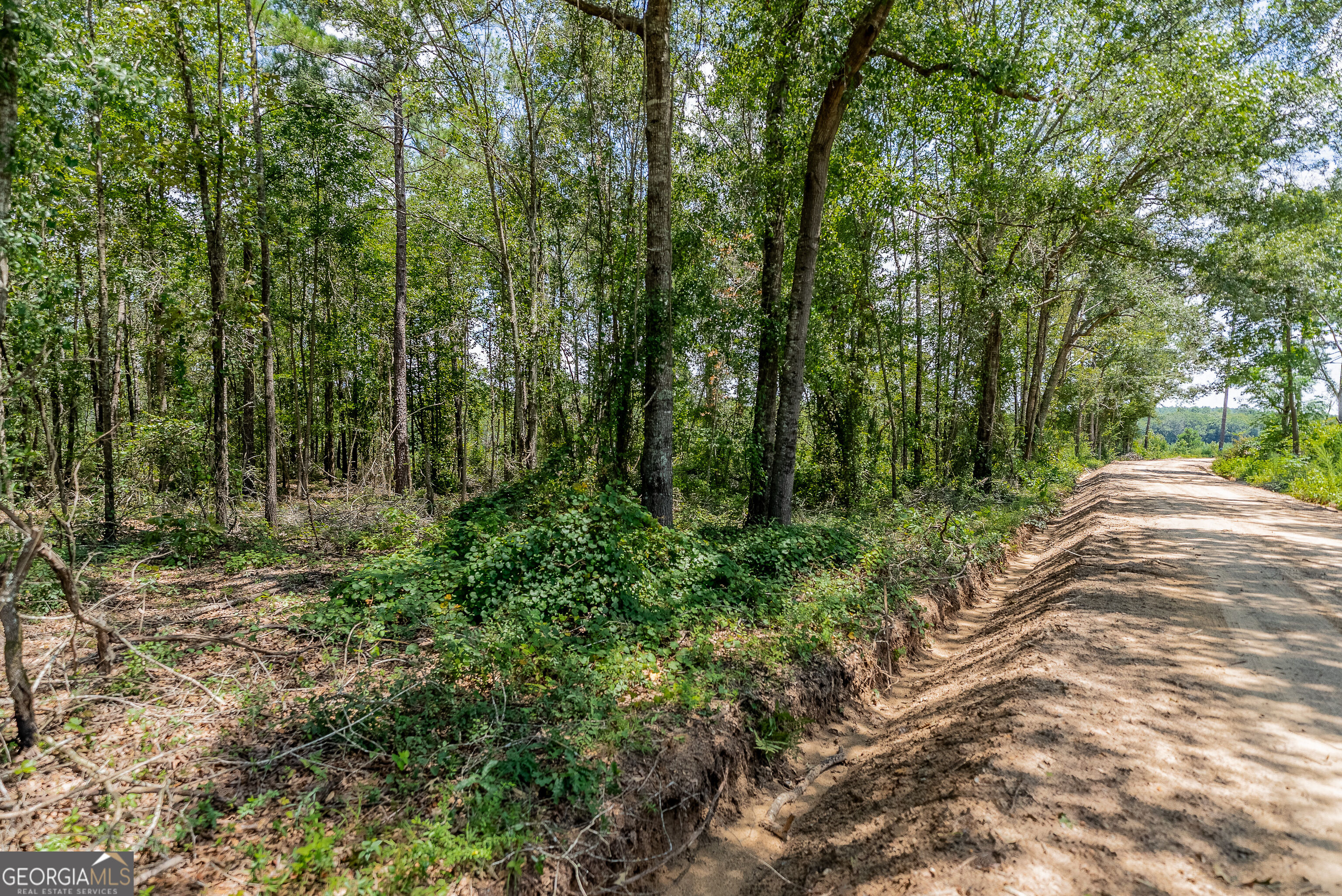 318 Cass Burnham Road Eastman, GA 31023 - Photo 69 of 77 Gallery Image 69