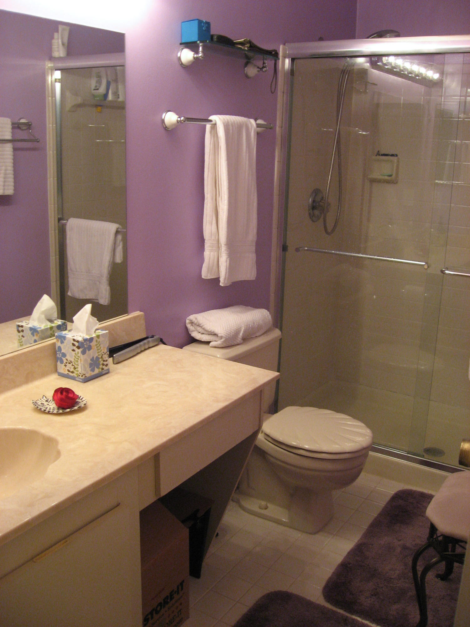7768 Courtyard Run West Boca Raton, FL 33433 - Photo 8 of 12 BATHROOM2.jpg