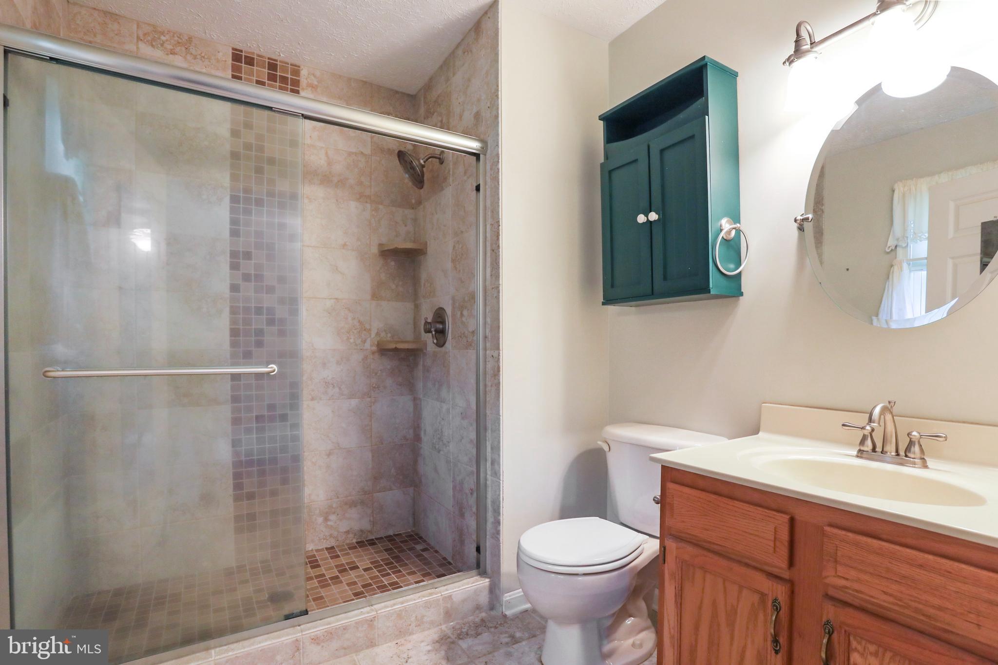 98 Greenleaf Road Strasburg, VA 22657 - Photo 24 of 37 Primary Bathroom with walk-in shower