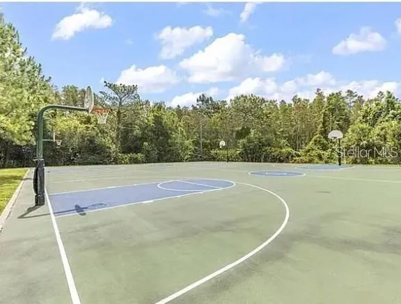 a view of a basket ball ground