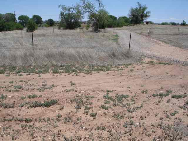 Tbd Pinedale Road Taylor, AZ 85939 - Photo 2 of 5