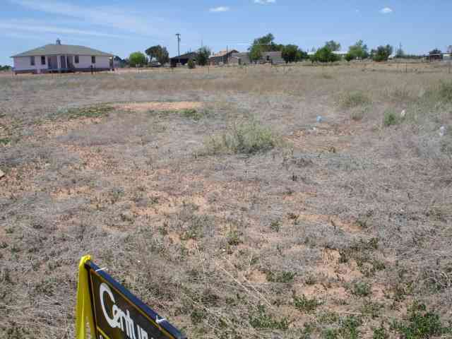Tbd Pinedale Road Taylor, AZ 85939 - Photo 4 of 5