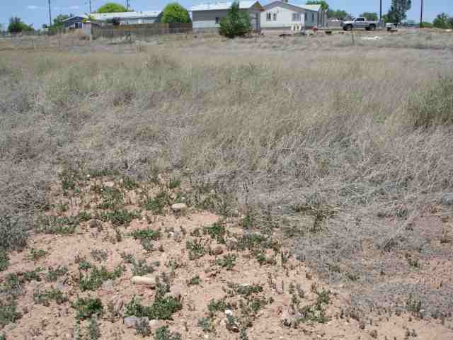 Tbd Pinedale Road Taylor, AZ 85939 - Photo 5 of 5