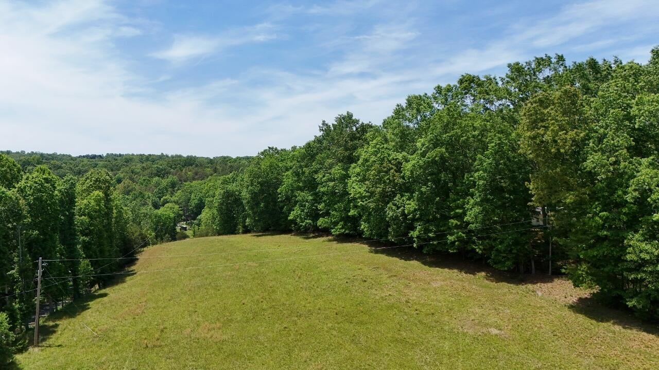 Flat Mountain Road Alderson, WV 24910 - Photo 6 of 9 Gallery Image 6