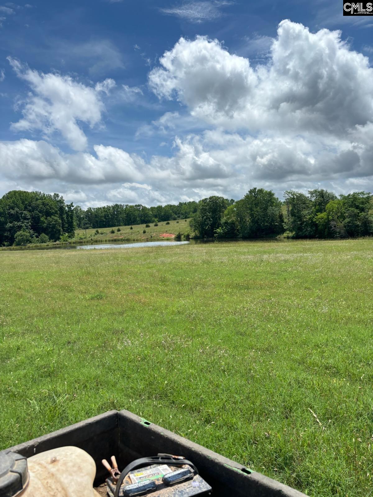 542 Pea Ridge Highway Jonesville, SC 29353 - Photo 53 of 72