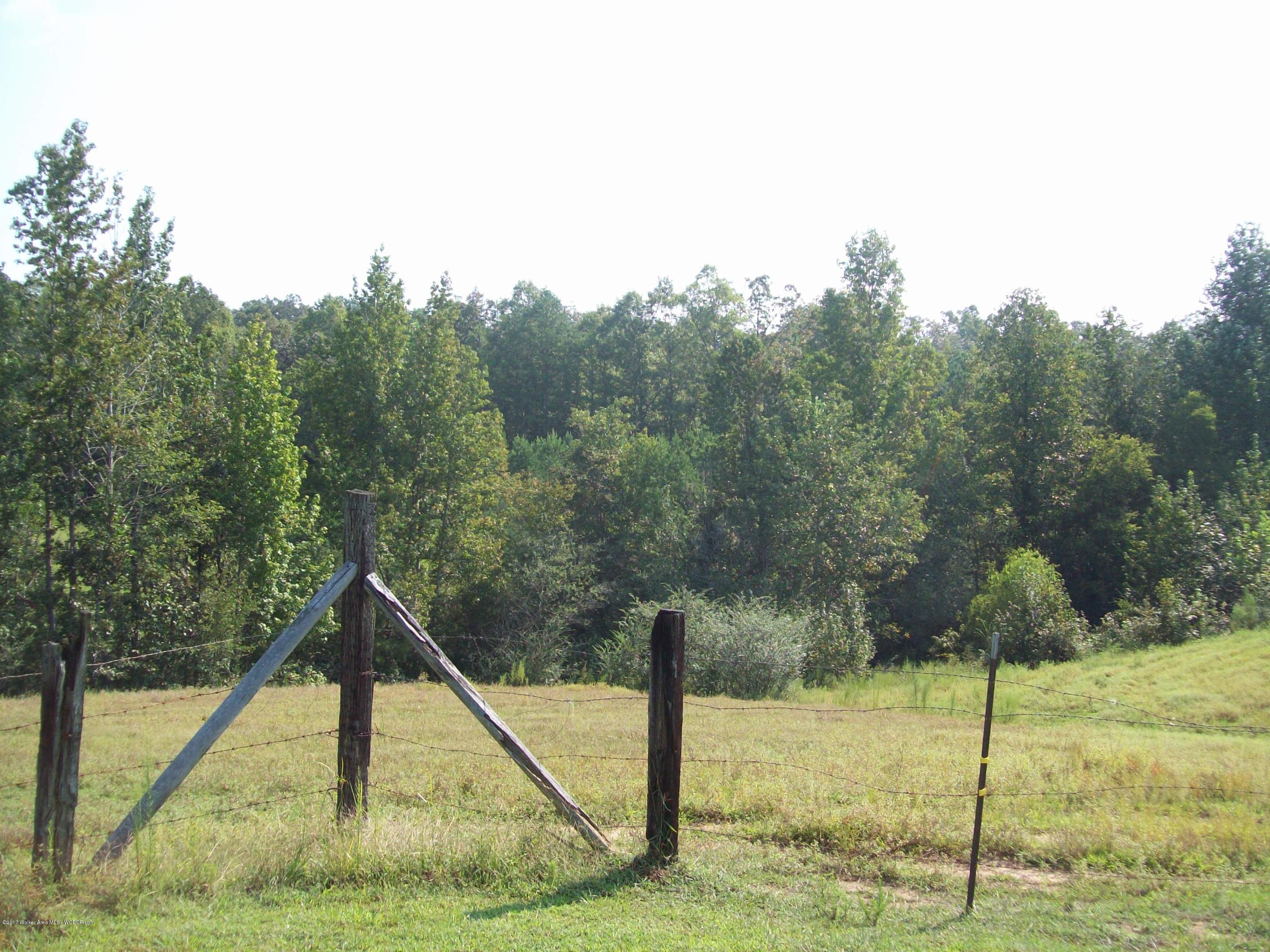 222 Dill Road Jasper, AL 35504 - Photo 14 of 28 Gallery Image 14