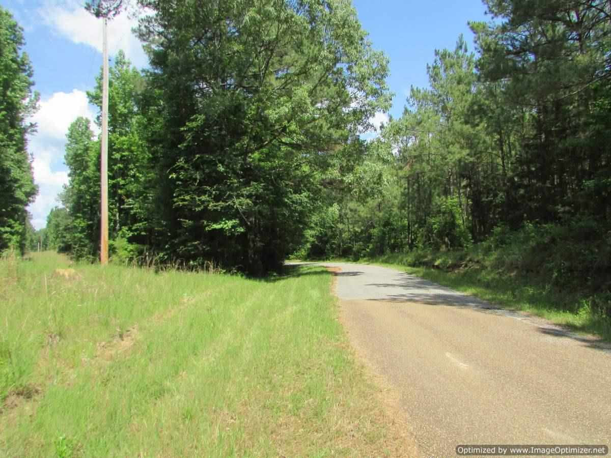 0 Mt Zion Road Camden, MS 39045 - Photo 2 of 11 Photo 2