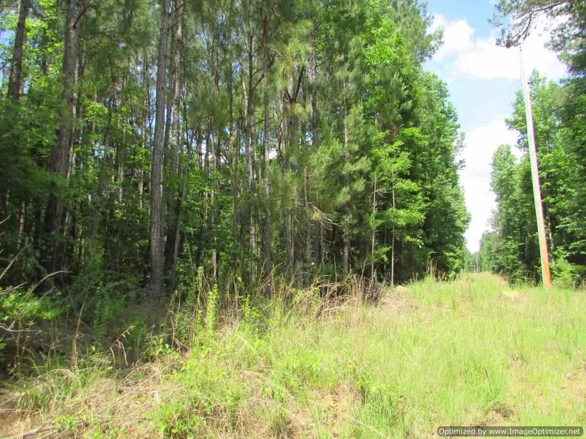 0 Mt Zion Road Camden, MS 39045 - Photo 3 of 11 Photo 3