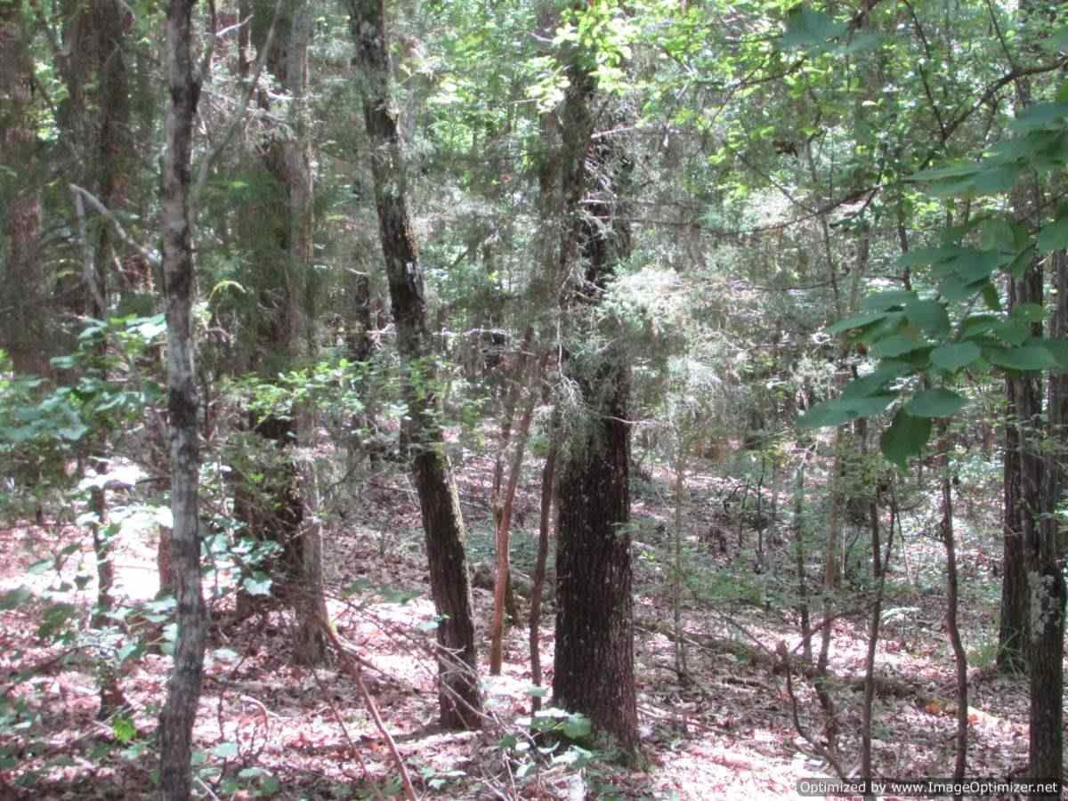 0 Mt Zion Road Camden, MS 39045 - Photo 9 of 11 Photo 9