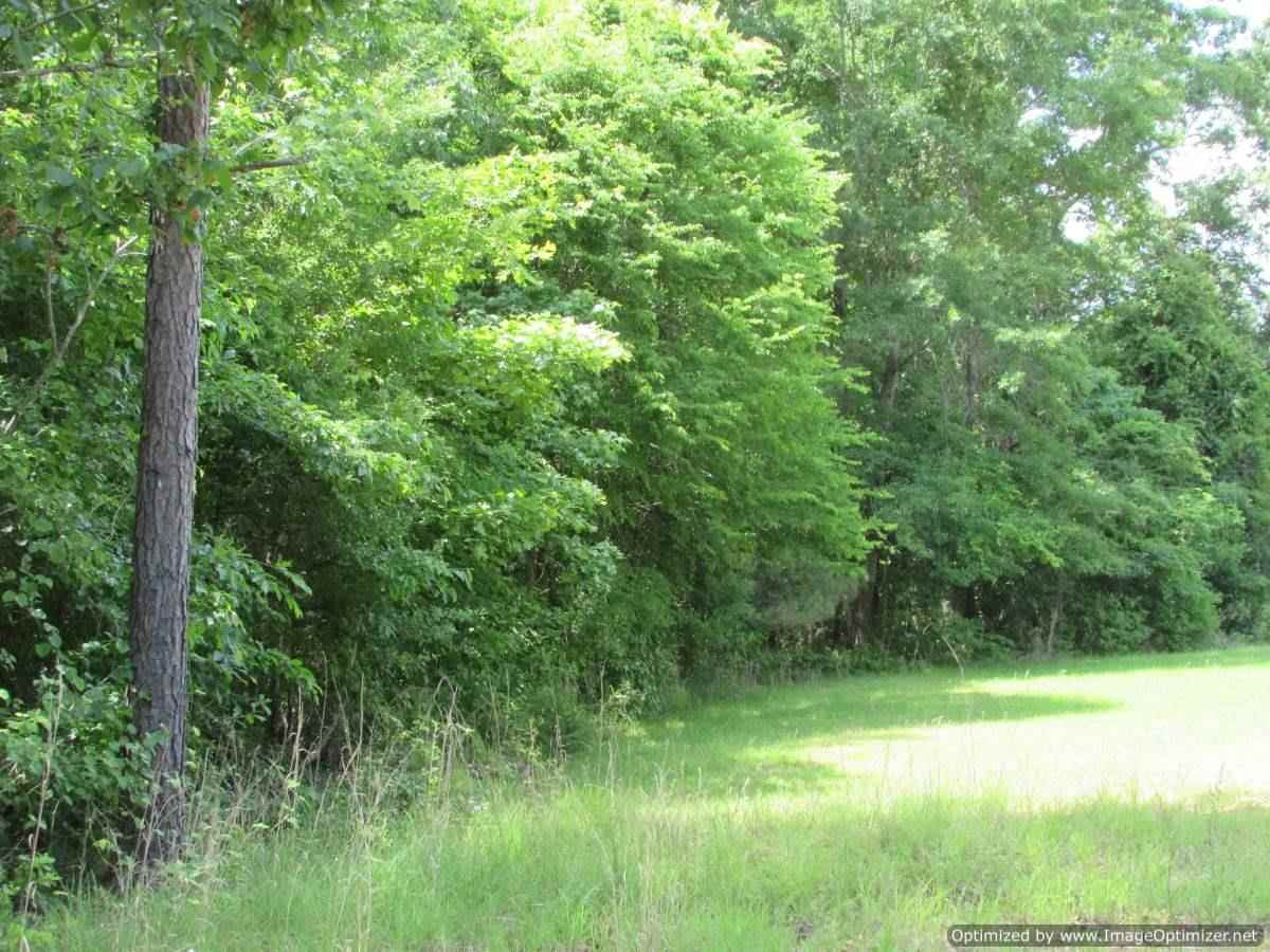 0 Mt Zion Road Camden, MS 39045 - Photo 10 of 11 Photo 10