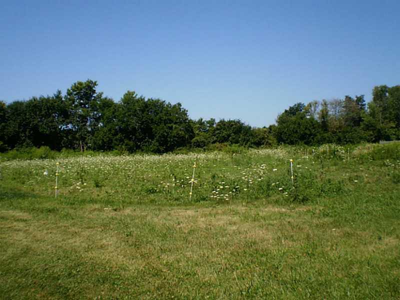 3685 Shrine Road Springfield, OH 45502 - Photo 14 of 14