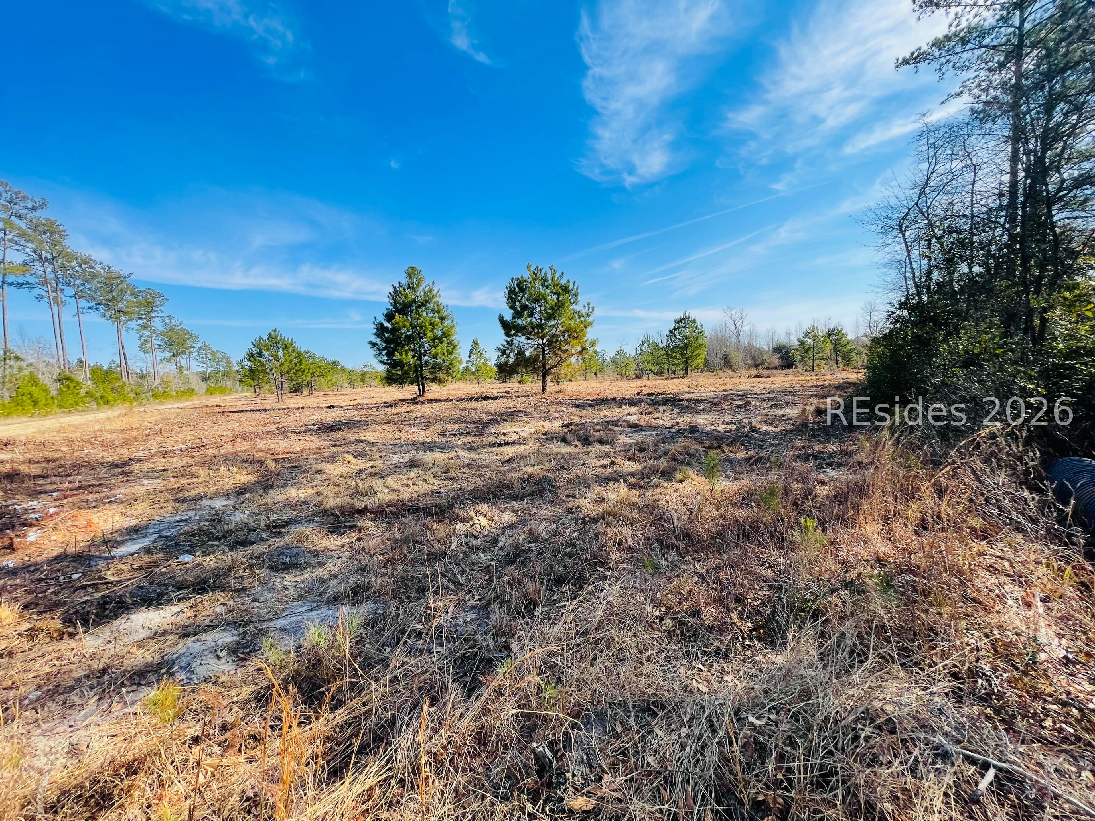 0 East Gillisonville Road Ridgeland, SC 29936 - Photo 3 of 8 cleared land
