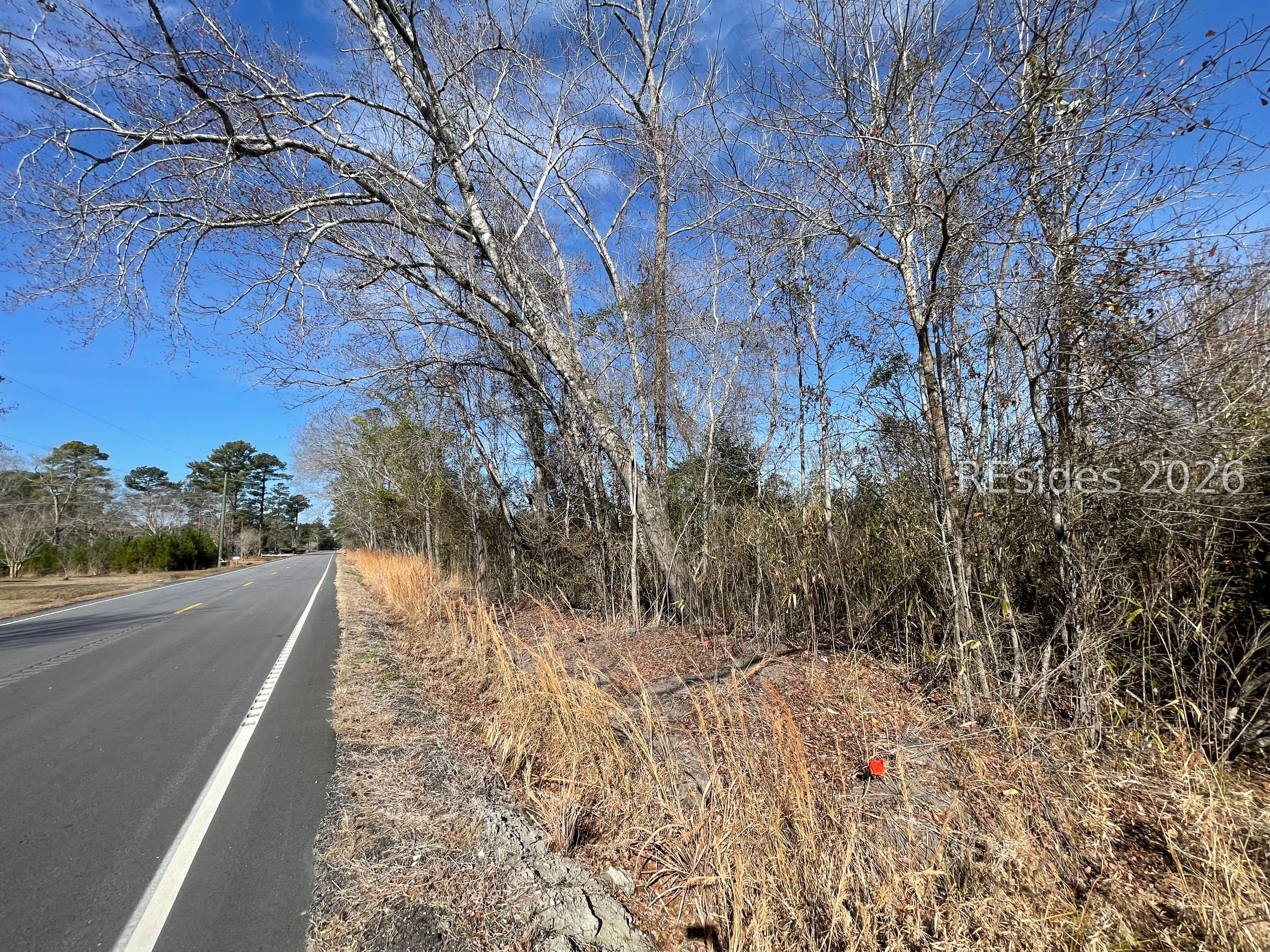 0 East Gillisonville Road Ridgeland, SC 29936 - Photo 4 of 8 Road frontage