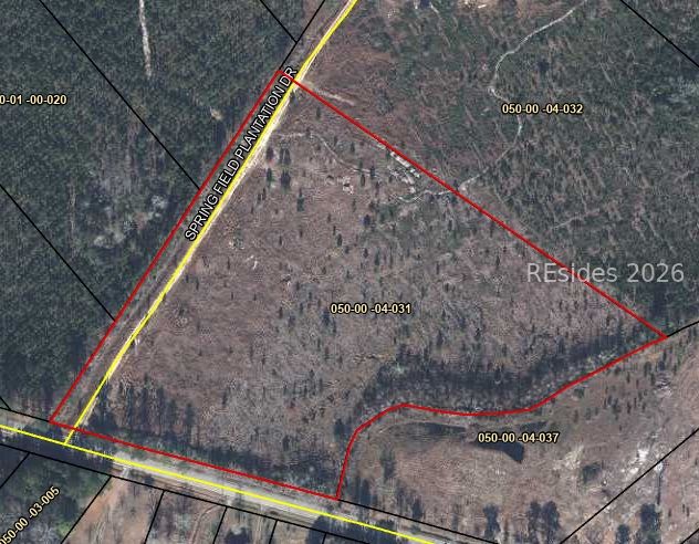 0 East Gillisonville Road Ridgeland, SC 29936 - Photo 5 of 8