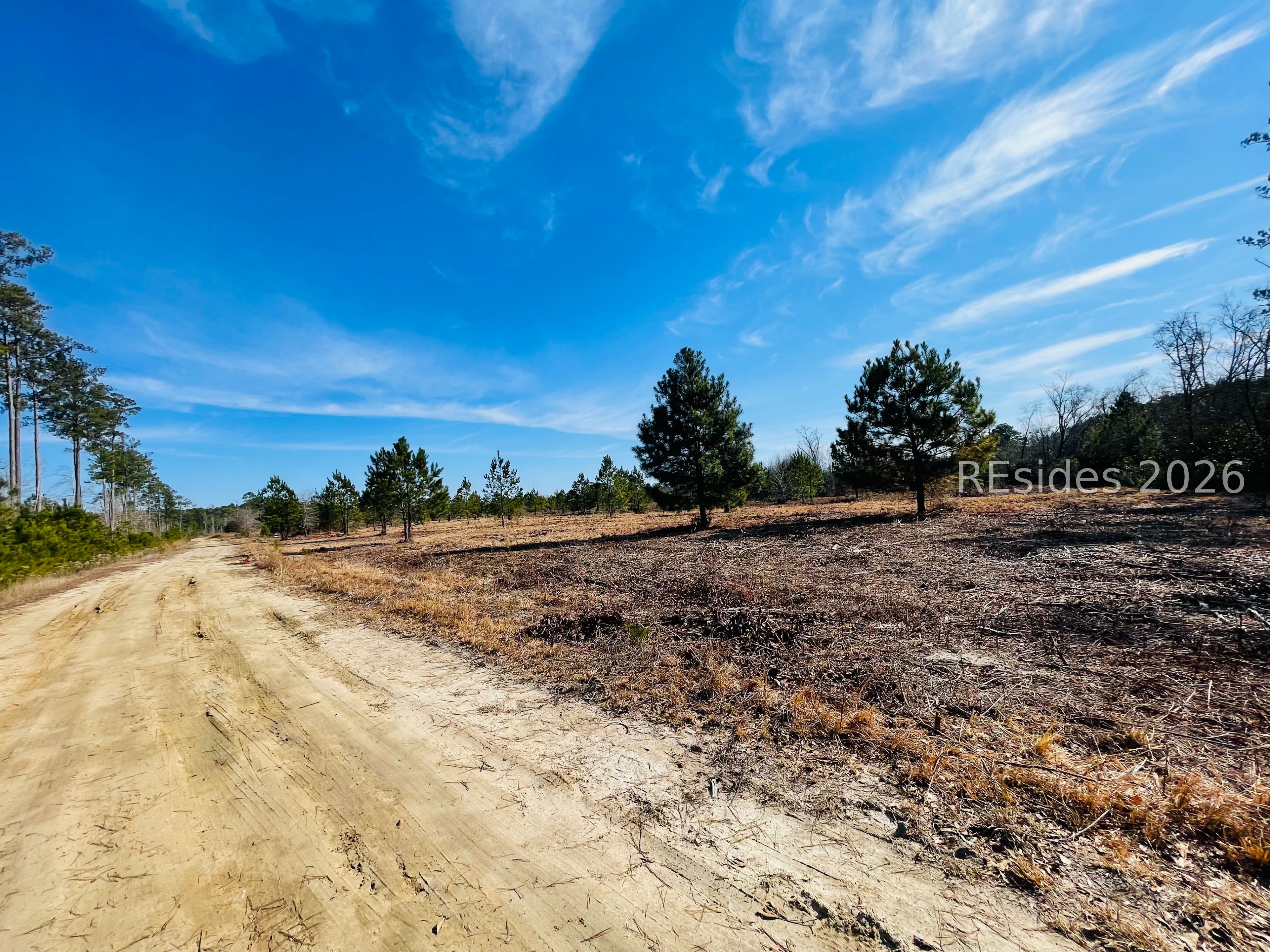 0 East Gillisonville Road Ridgeland, SC 29936 - Photo 6 of 8 second access