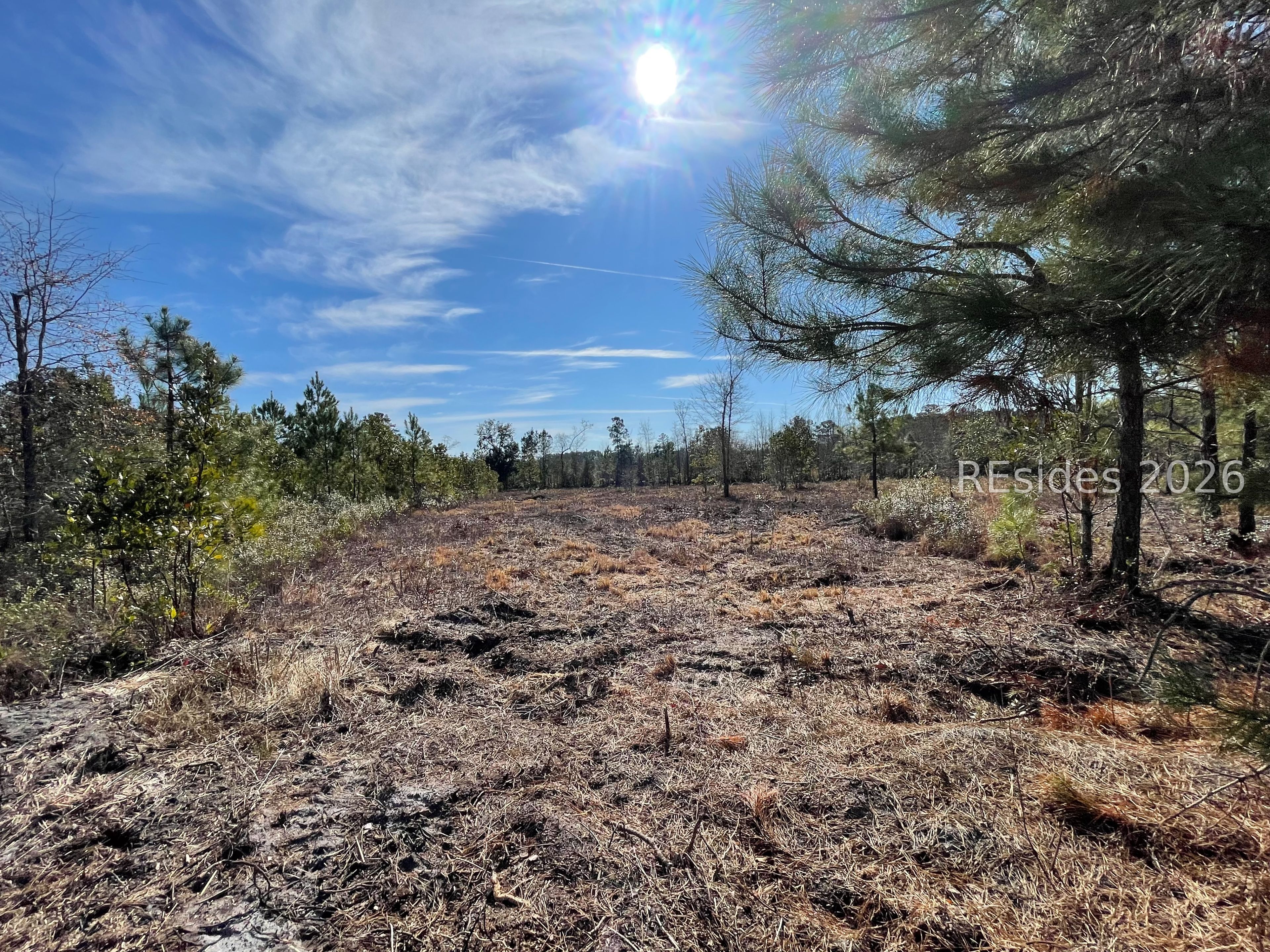 0 East Gillisonville Road Ridgeland, SC 29936 - Photo 7 of 8 cleared landd