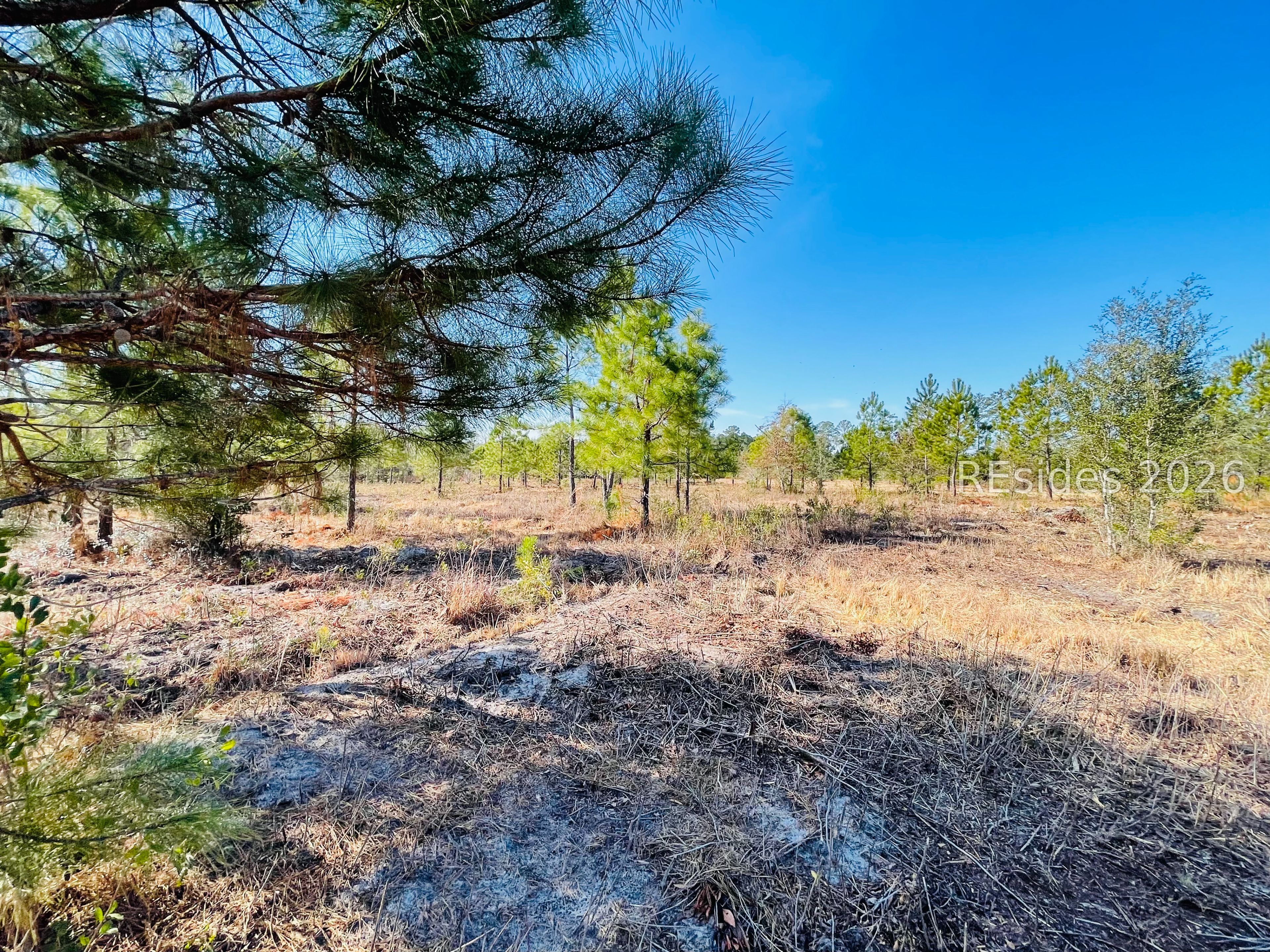 0 East Gillisonville Road Ridgeland, SC 29936 - Photo 8 of 8 cleared land