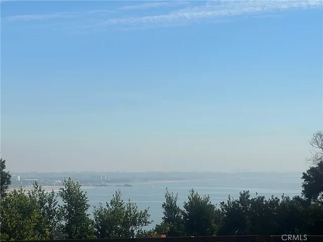 an aerial view of ocean and trees