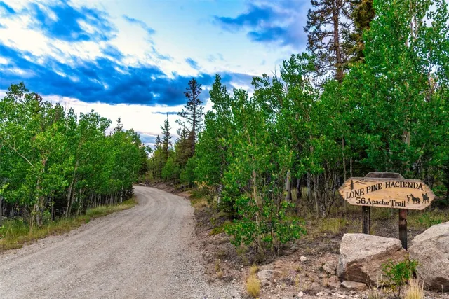 a view of a backyard with plants and a garden