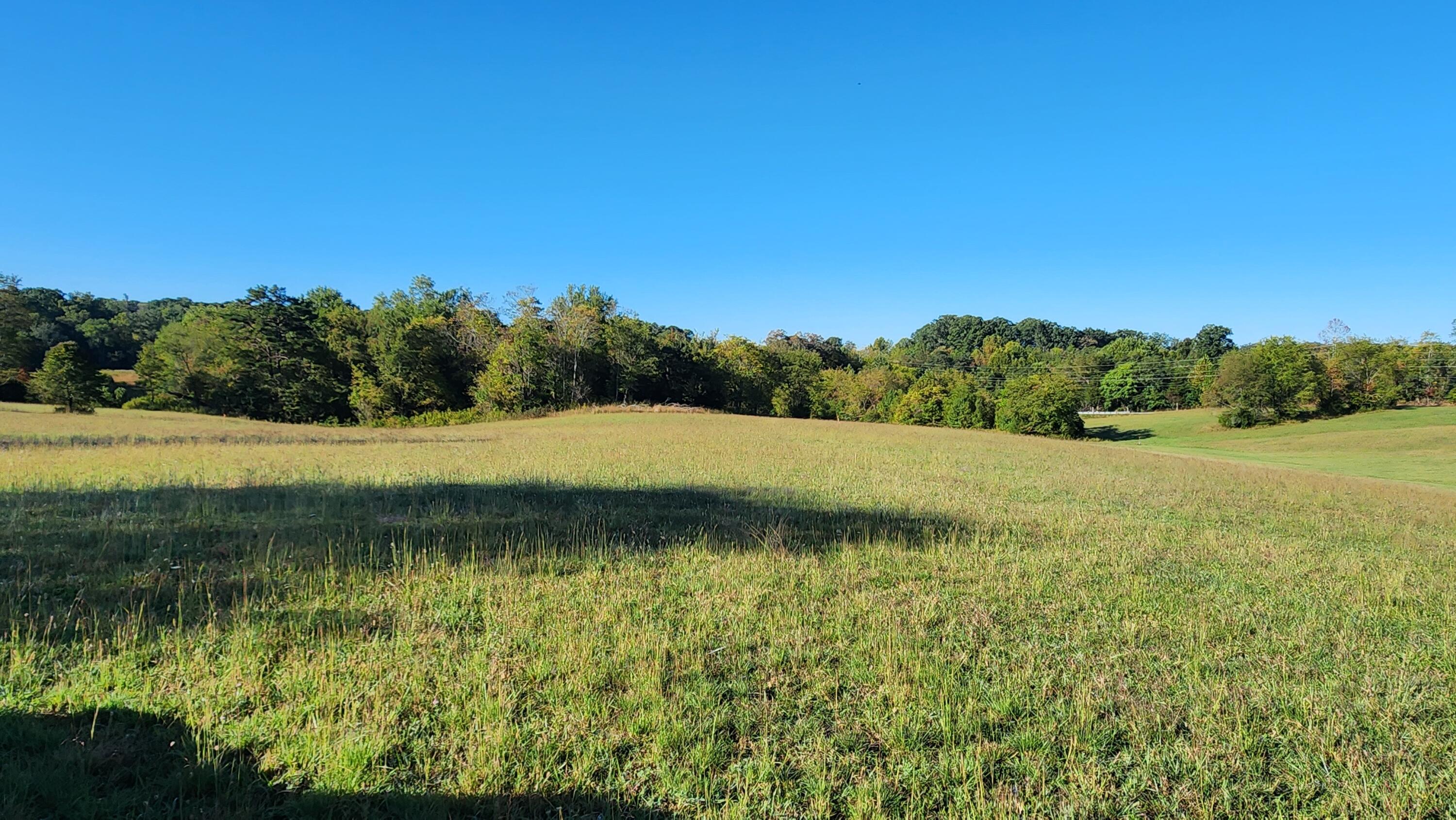 Lot 5 Lizard Ridge Road Bedford, VA 24523 - Photo 3 of 5 20231001_091608