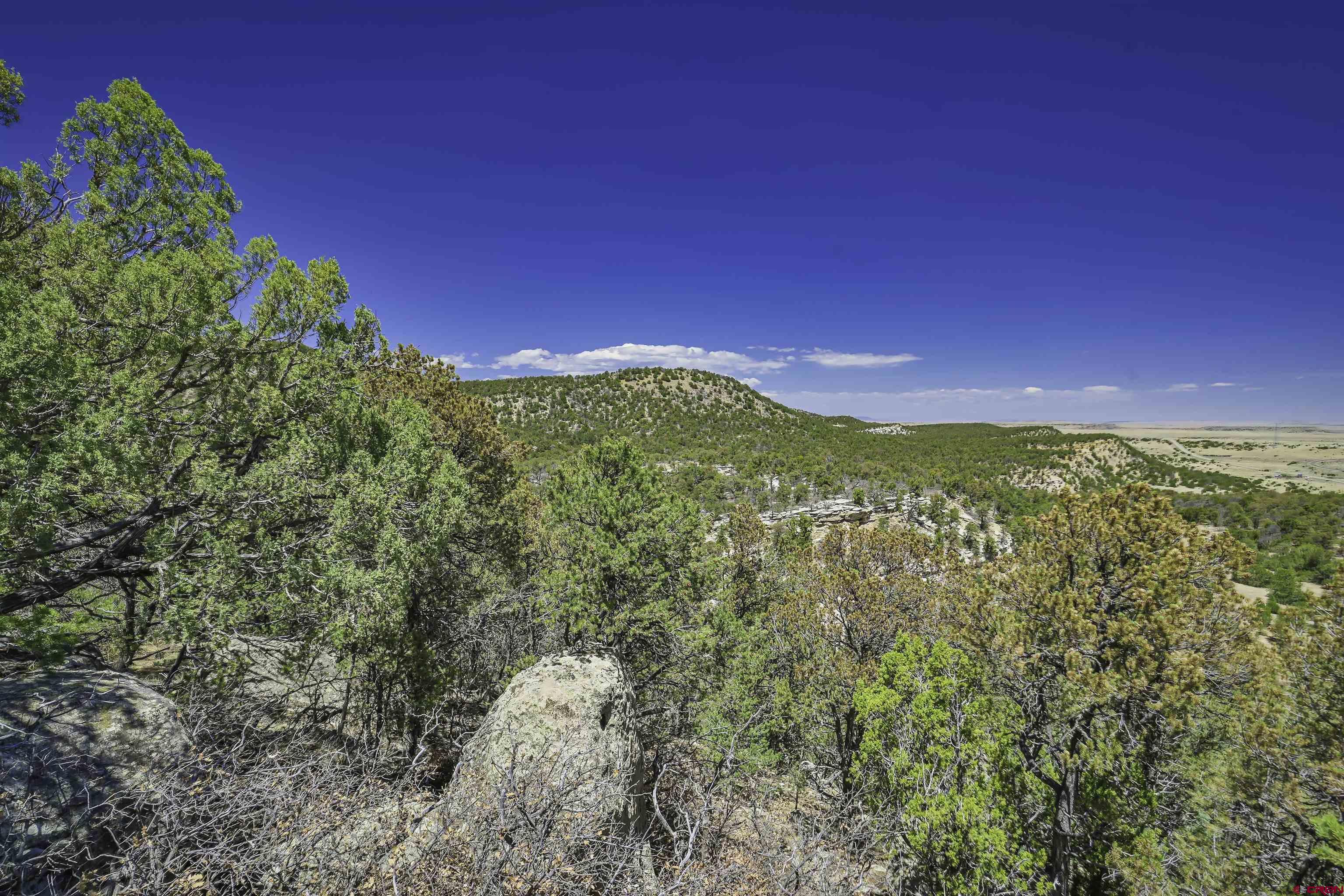 Tbd Tbd Rikki Rowdy Place Aguilar, CO 81020 - Photo 1 of 45
