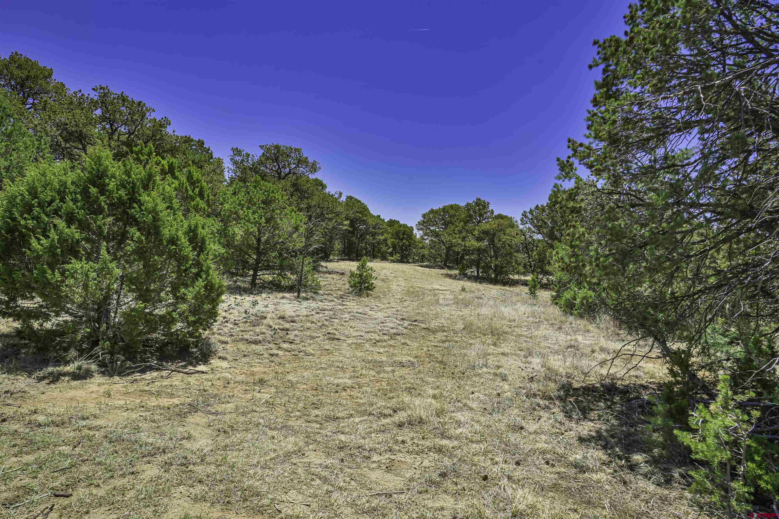 Tbd Tbd Rikki Rowdy Place Aguilar, CO 81020 - Photo 11 of 45