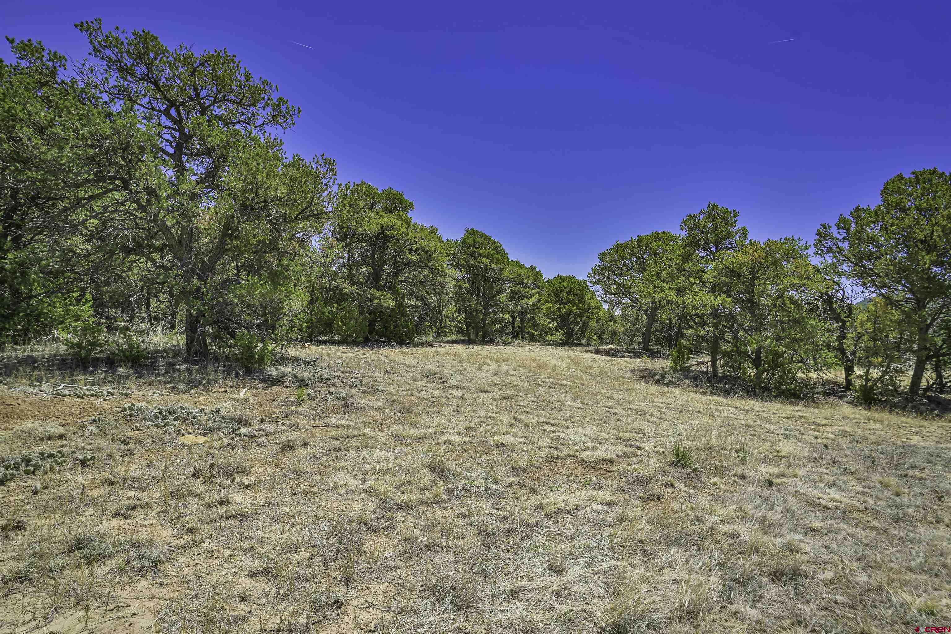 Tbd Tbd Rikki Rowdy Place Aguilar, CO 81020 - Photo 12 of 45