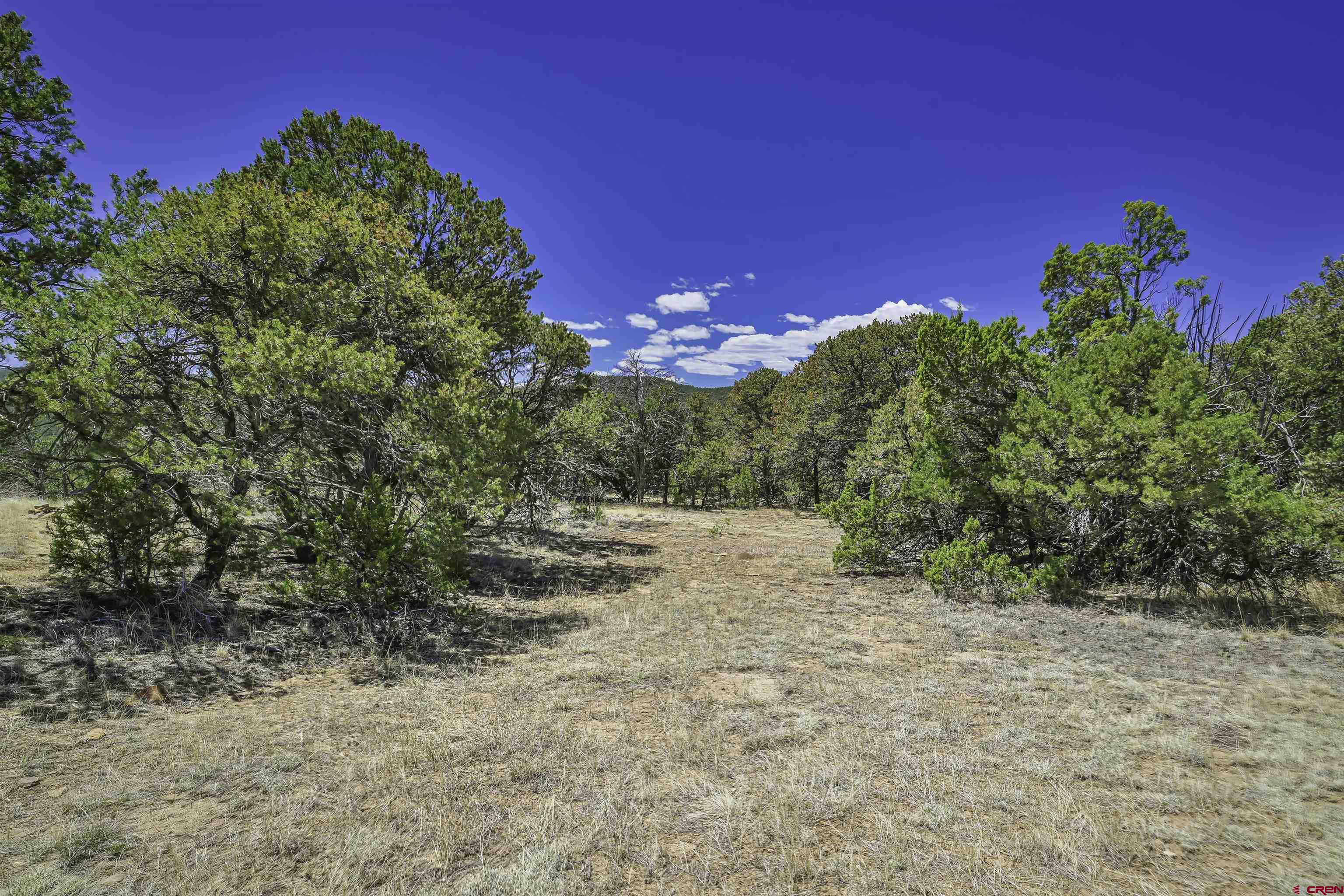Tbd Tbd Rikki Rowdy Place Aguilar, CO 81020 - Photo 13 of 45