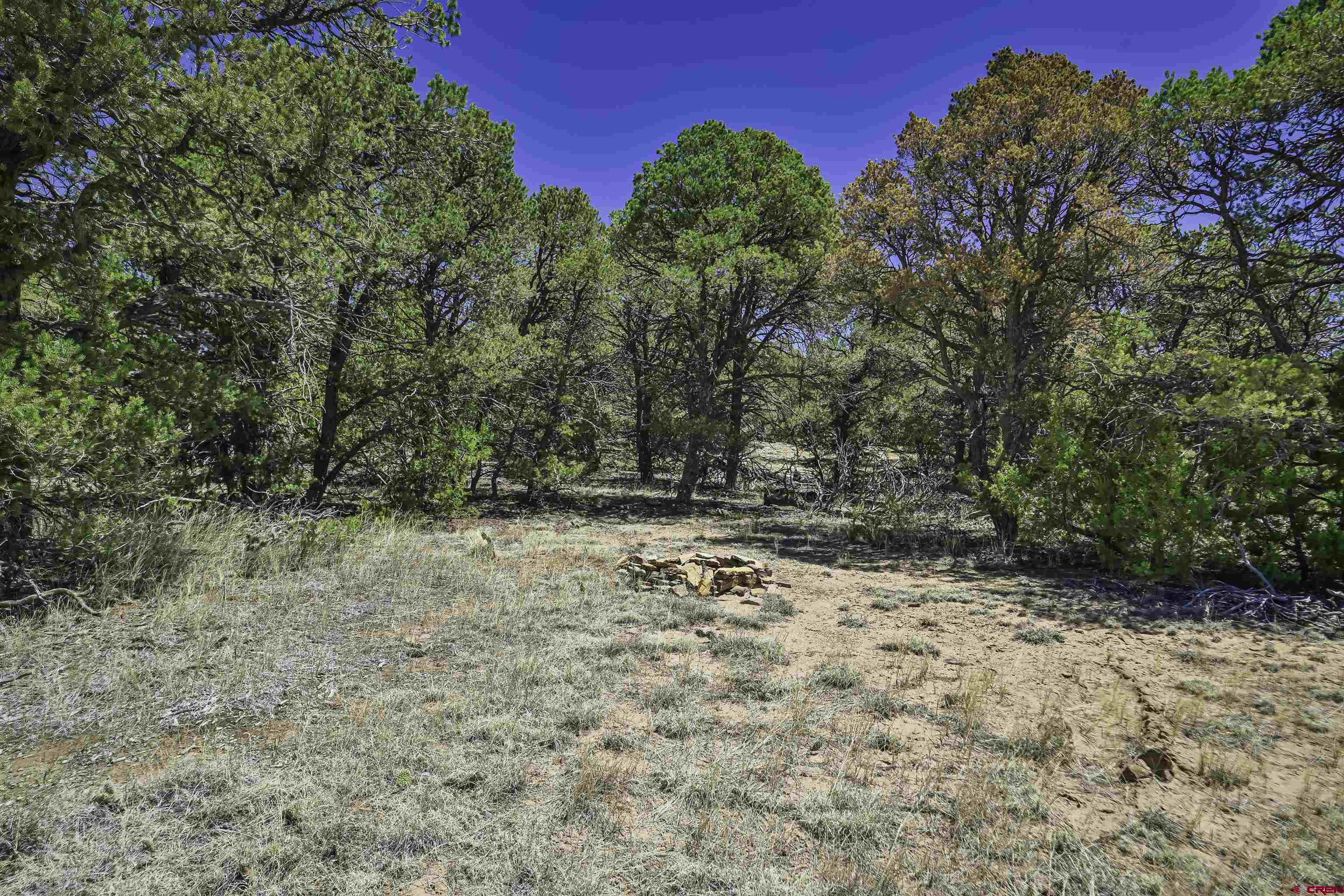 Tbd Tbd Rikki Rowdy Place Aguilar, CO 81020 - Photo 14 of 45