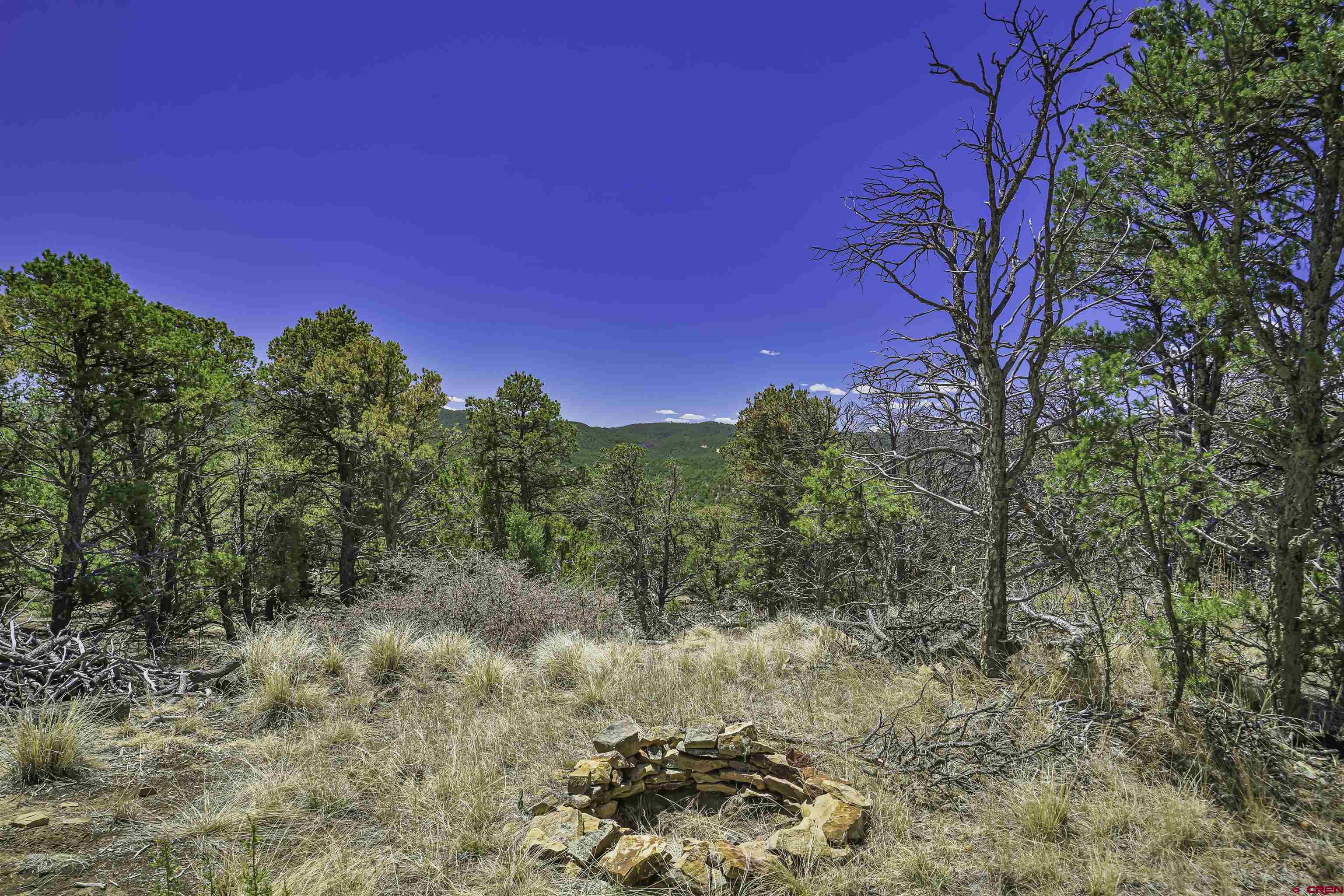 Tbd Tbd Rikki Rowdy Place Aguilar, CO 81020 - Photo 15 of 45