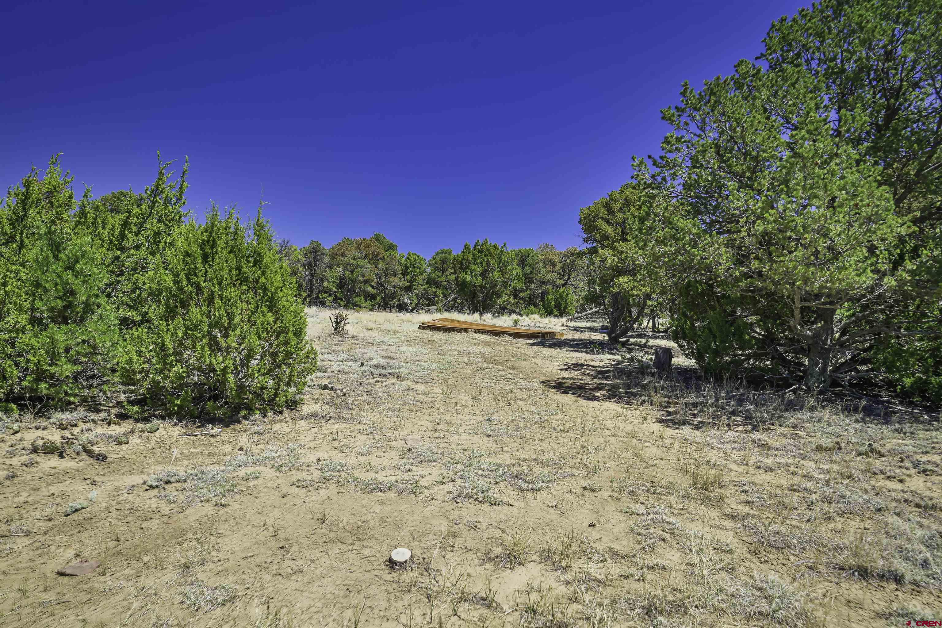 Tbd Tbd Rikki Rowdy Place Aguilar, CO 81020 - Photo 17 of 45