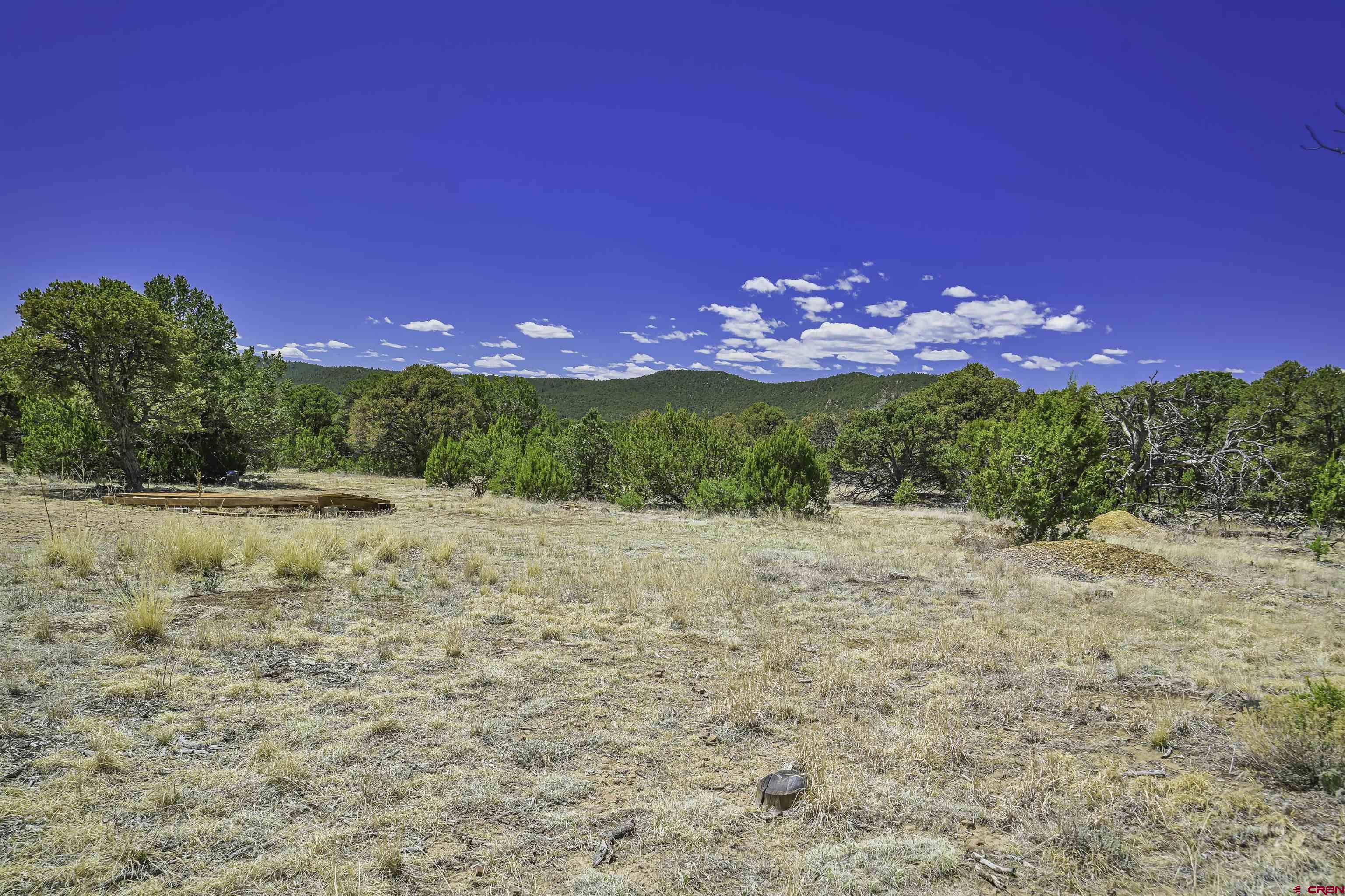 Tbd Tbd Rikki Rowdy Place Aguilar, CO 81020 - Photo 19 of 45