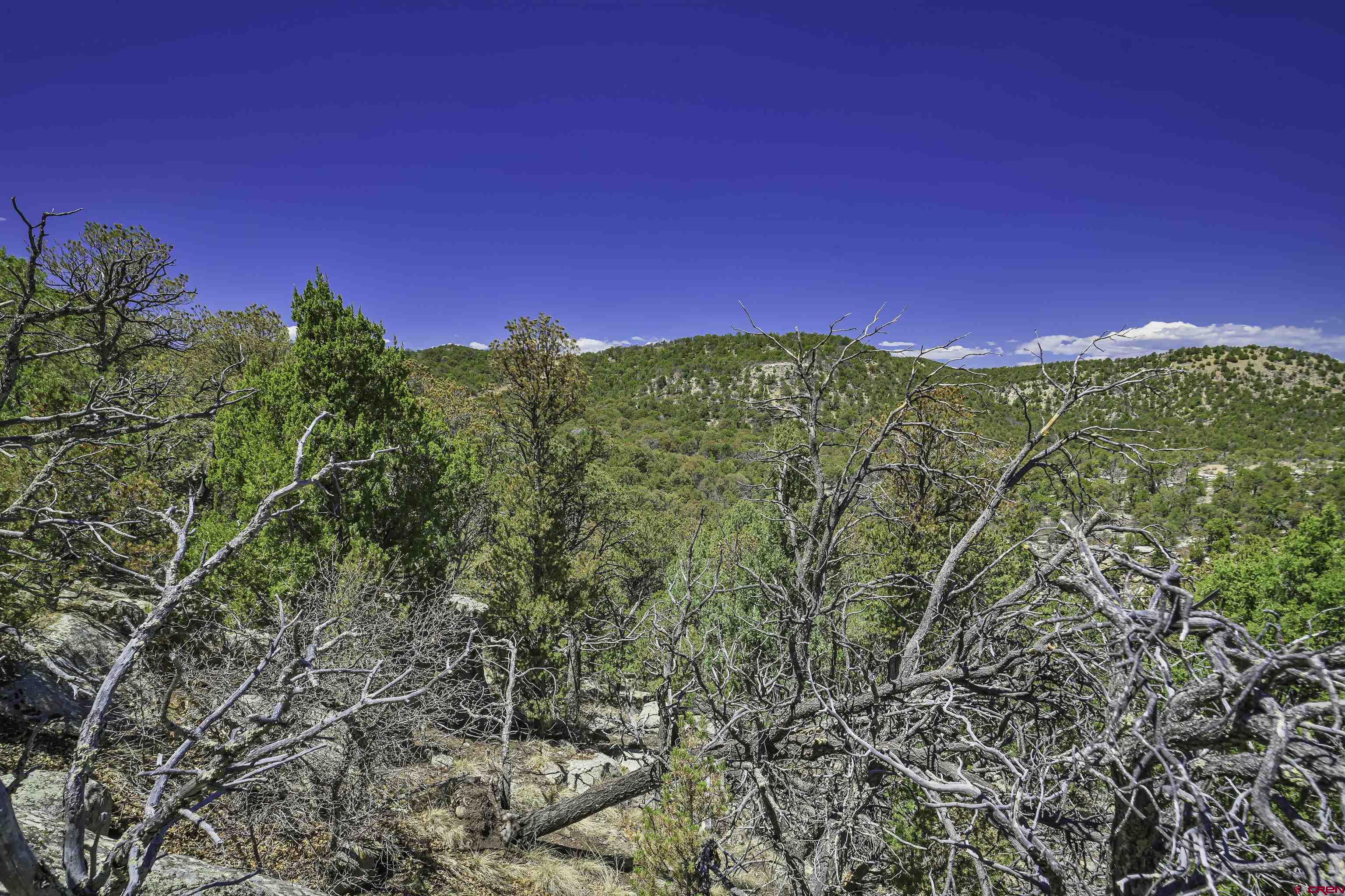 Tbd Tbd Rikki Rowdy Place Aguilar, CO 81020 - Photo 20 of 45