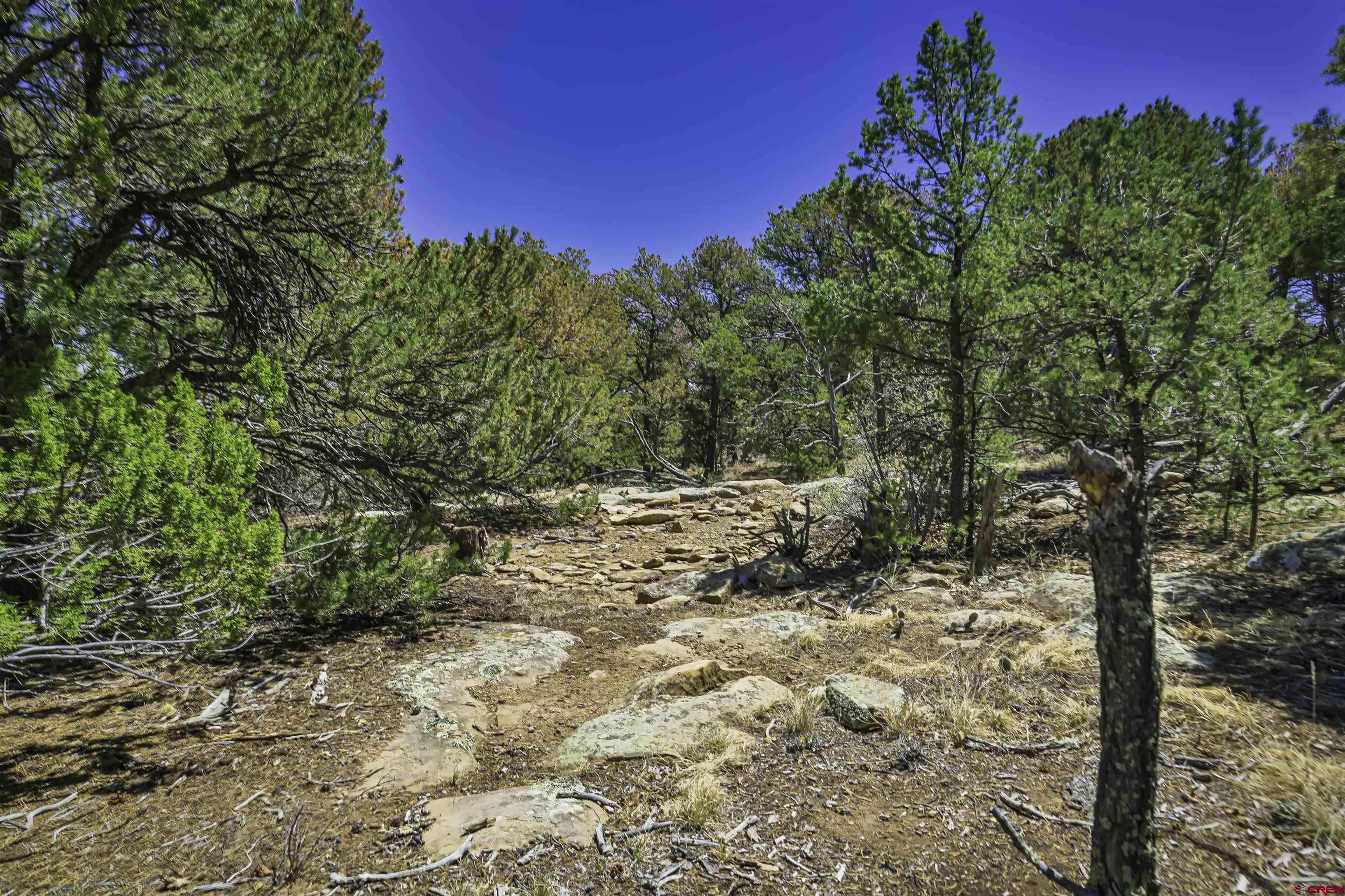 Tbd Tbd Rikki Rowdy Place Aguilar, CO 81020 - Photo 22 of 45
