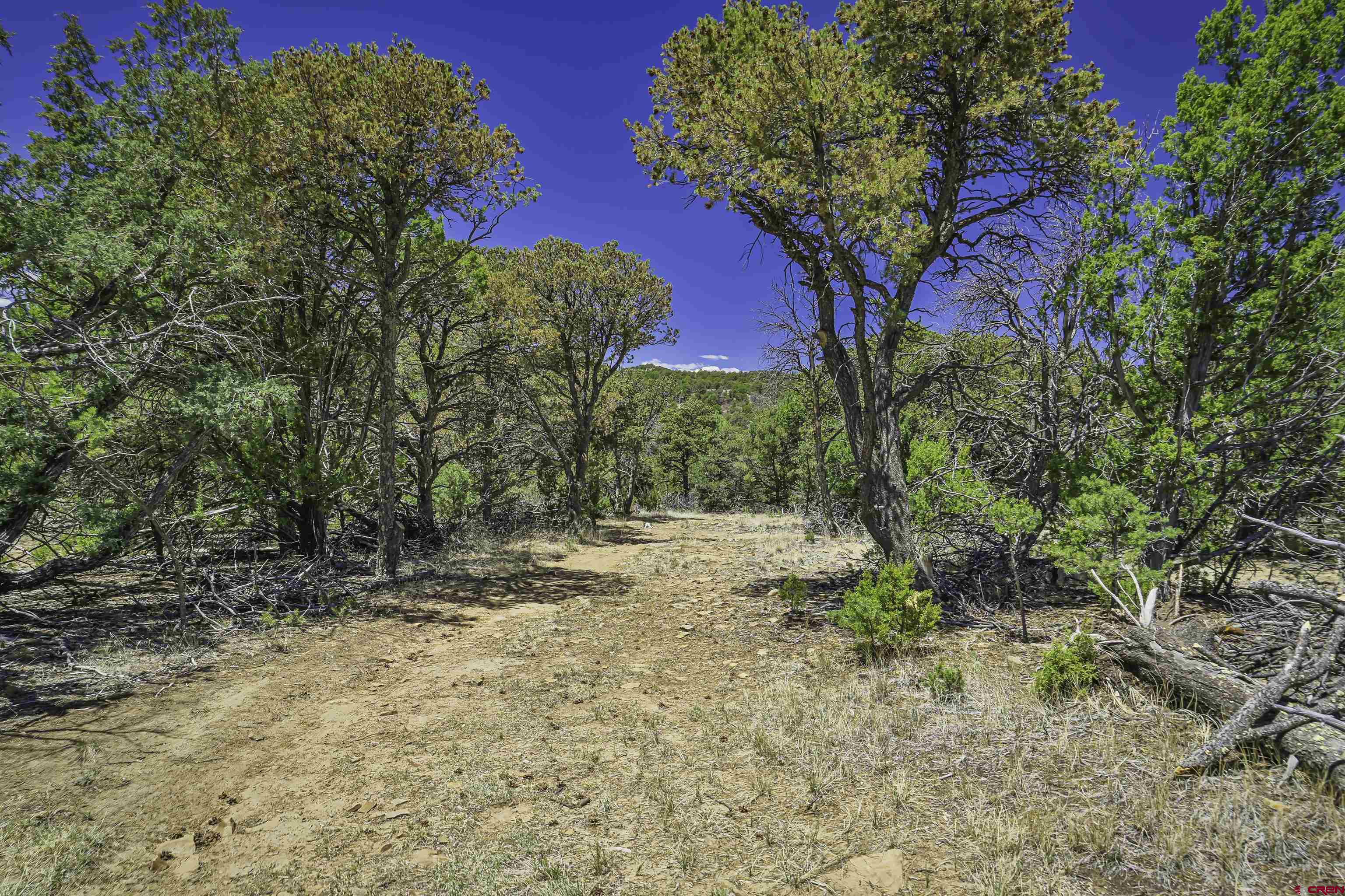 Tbd Tbd Rikki Rowdy Place Aguilar, CO 81020 - Photo 23 of 45