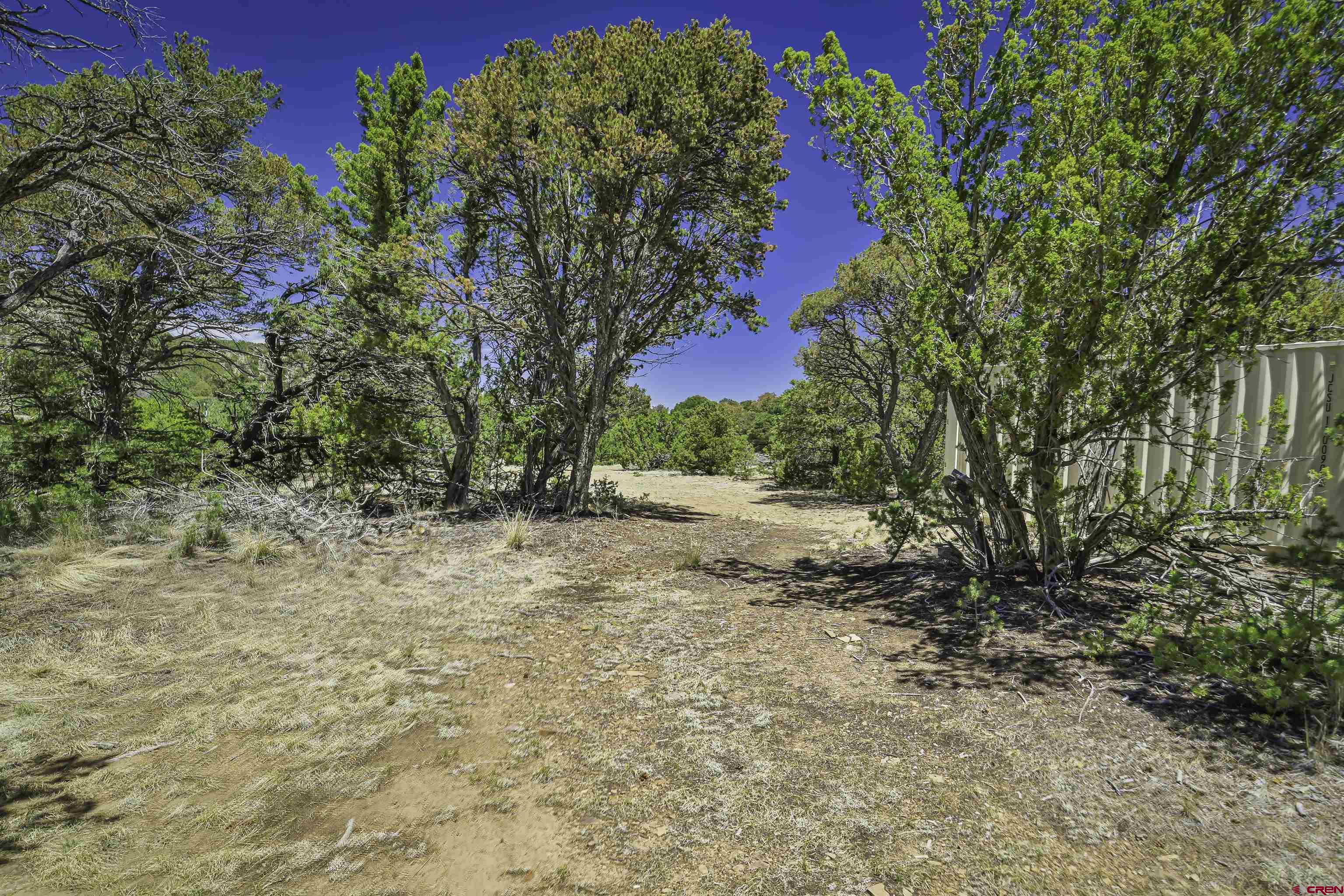 Tbd Tbd Rikki Rowdy Place Aguilar, CO 81020 - Photo 24 of 45