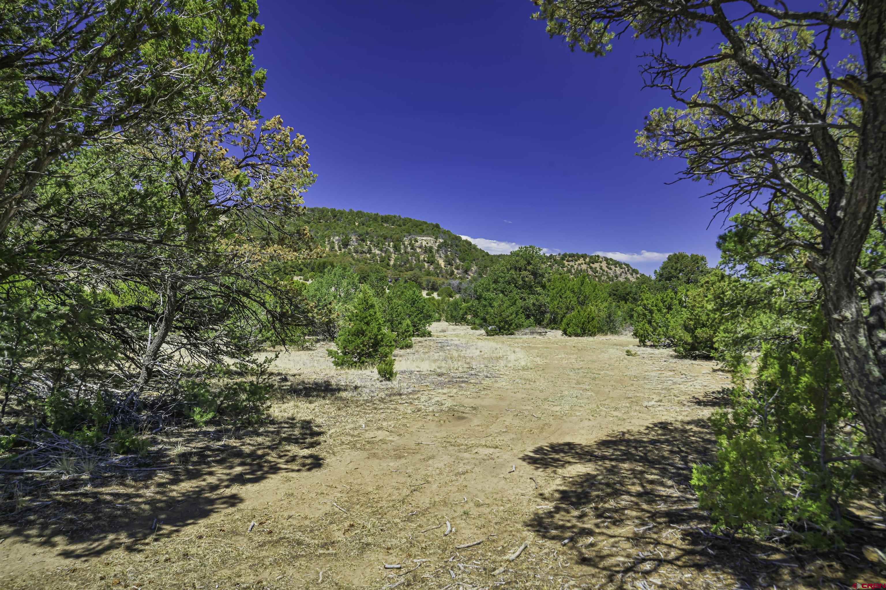Tbd Tbd Rikki Rowdy Place Aguilar, CO 81020 - Photo 25 of 45