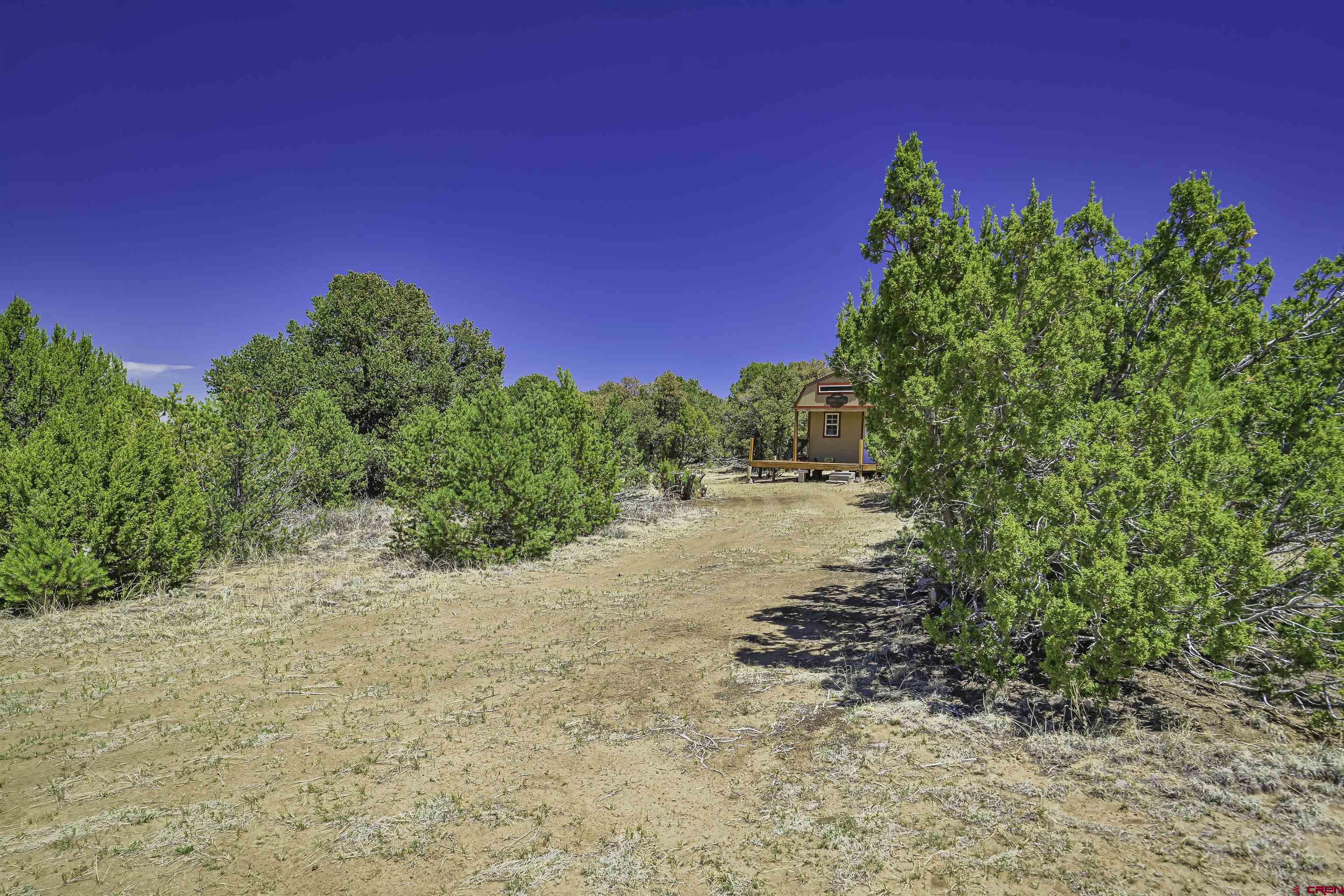 Tbd Tbd Rikki Rowdy Place Aguilar, CO 81020 - Photo 26 of 45