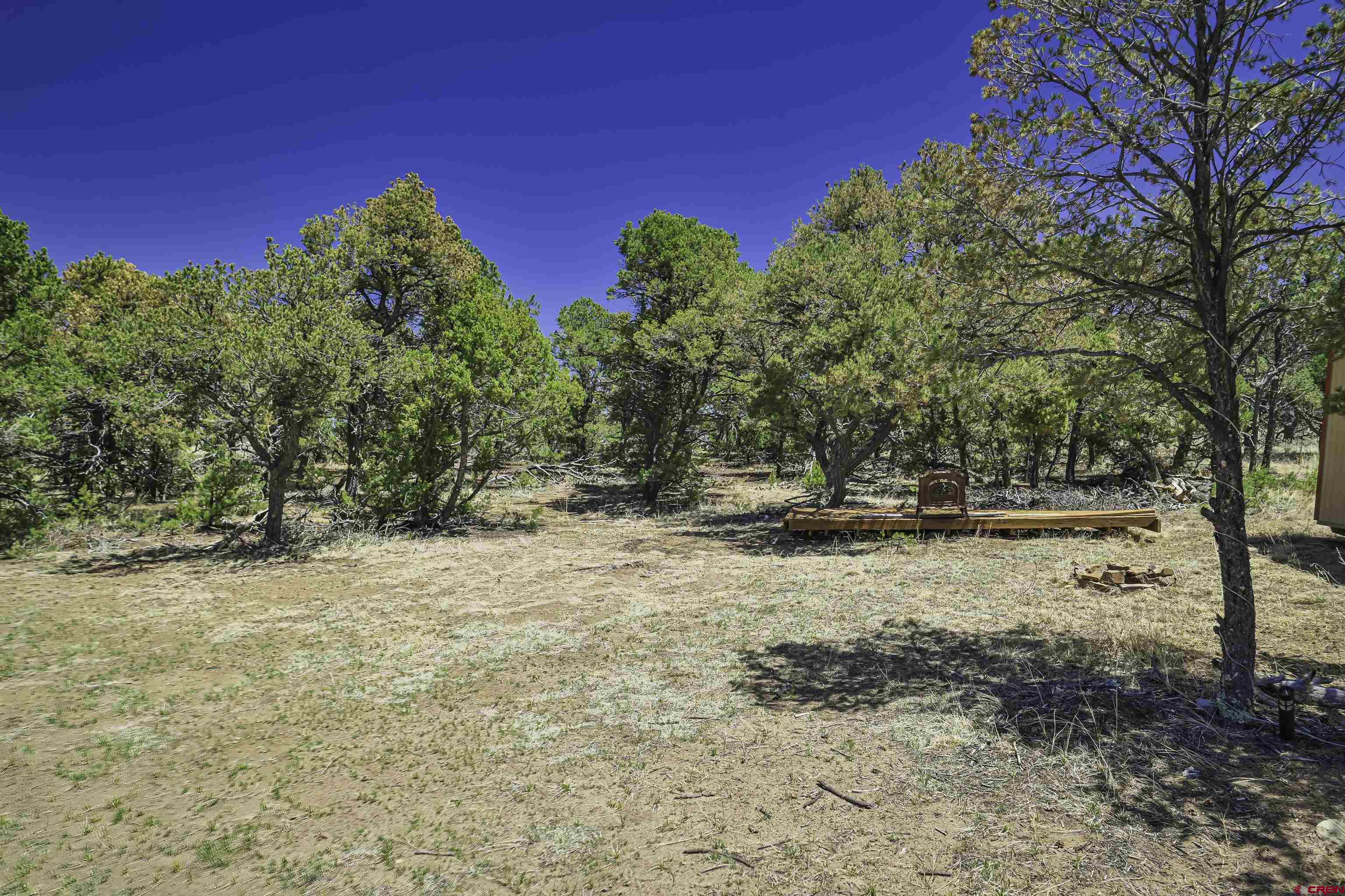 Tbd Tbd Rikki Rowdy Place Aguilar, CO 81020 - Photo 27 of 45