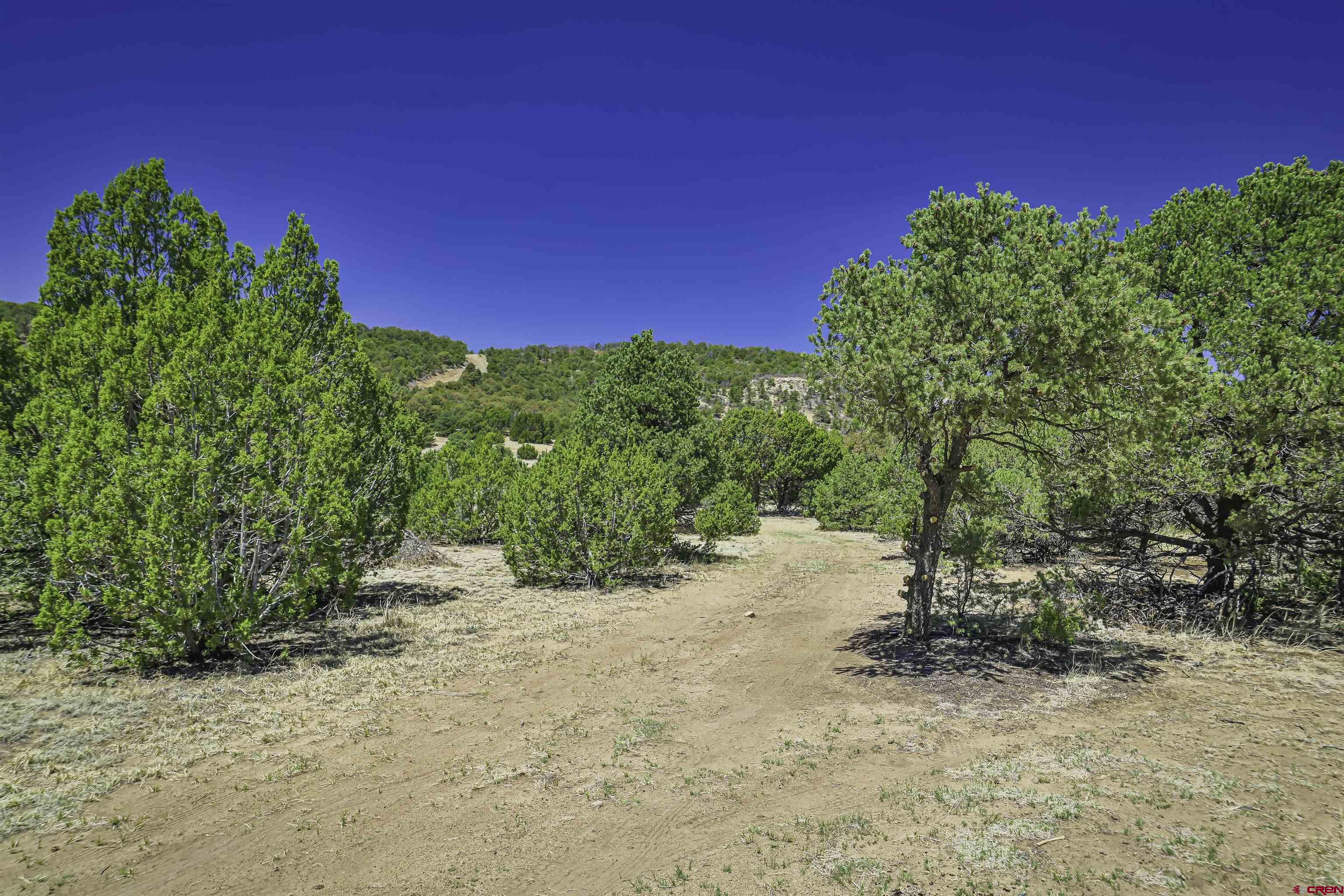 Tbd Tbd Rikki Rowdy Place Aguilar, CO 81020 - Photo 28 of 45