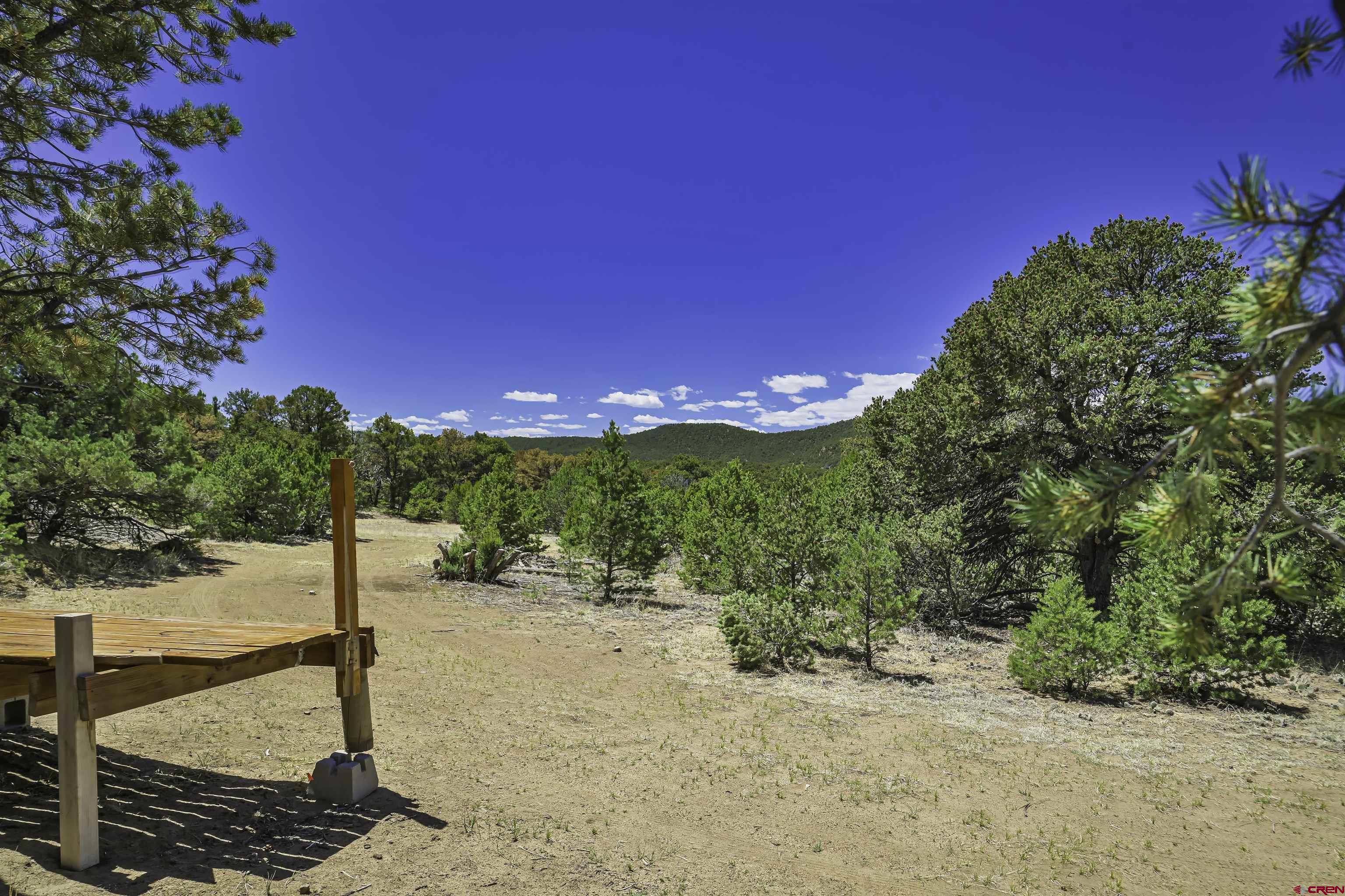 Tbd Tbd Rikki Rowdy Place Aguilar, CO 81020 - Photo 29 of 45