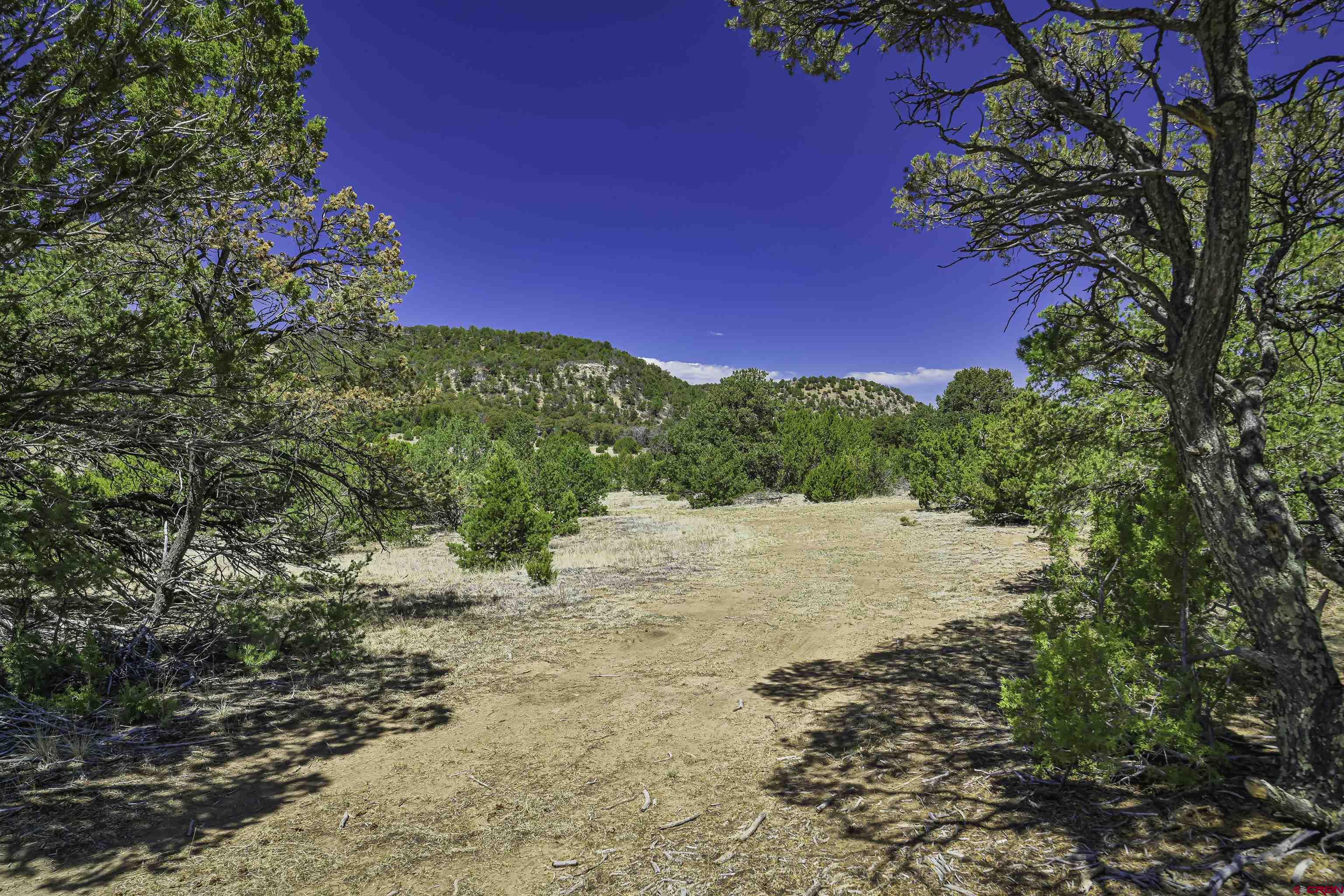 Tbd Tbd Rikki Rowdy Place Aguilar, CO 81020 - Photo 3 of 45