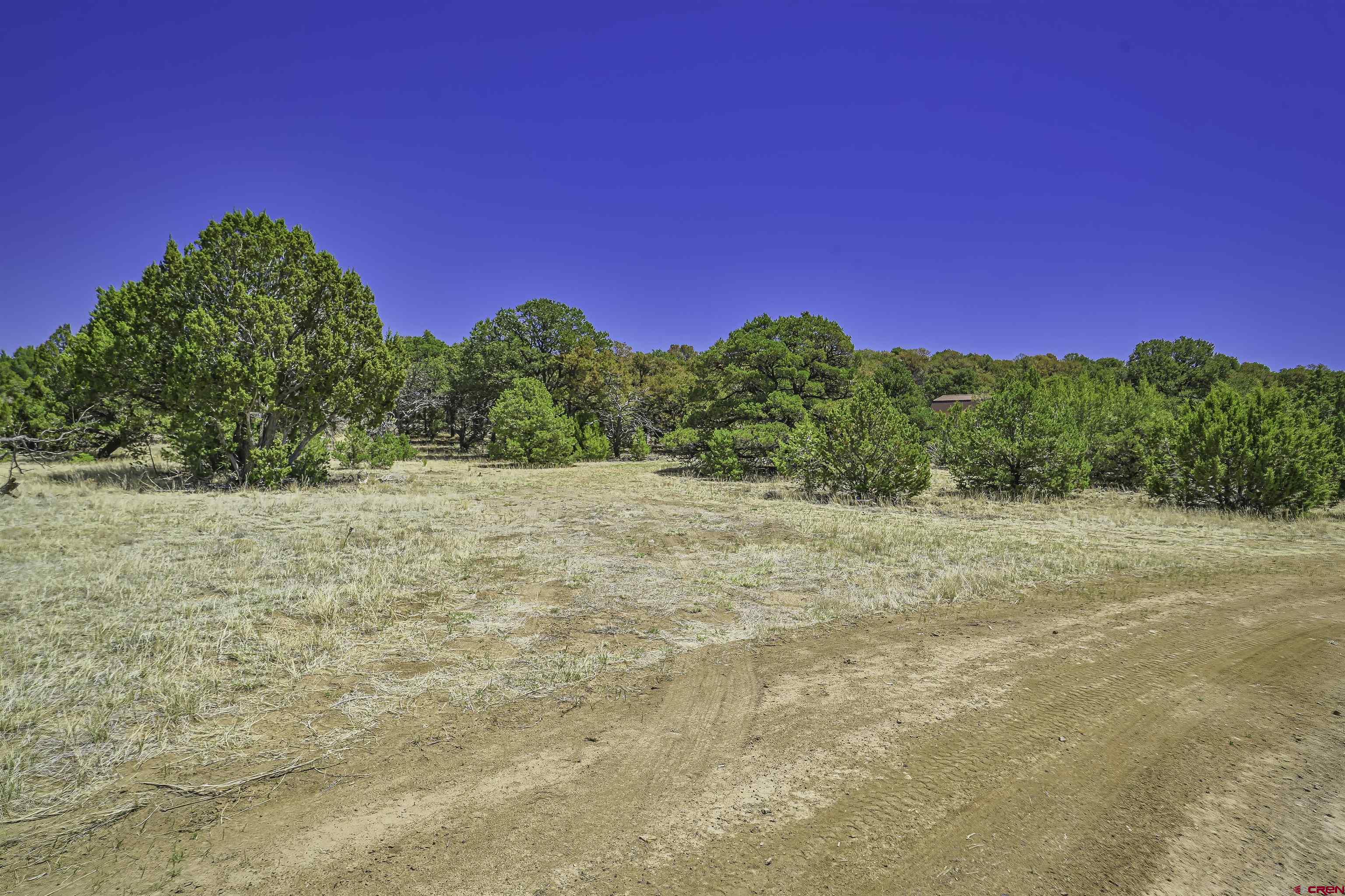 Tbd Tbd Rikki Rowdy Place Aguilar, CO 81020 - Photo 31 of 45
