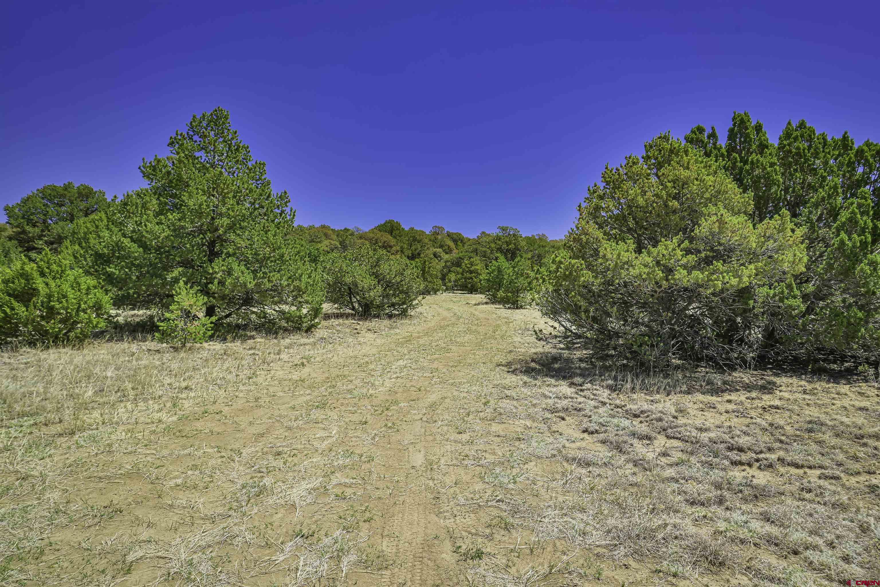 Tbd Tbd Rikki Rowdy Place Aguilar, CO 81020 - Photo 32 of 45