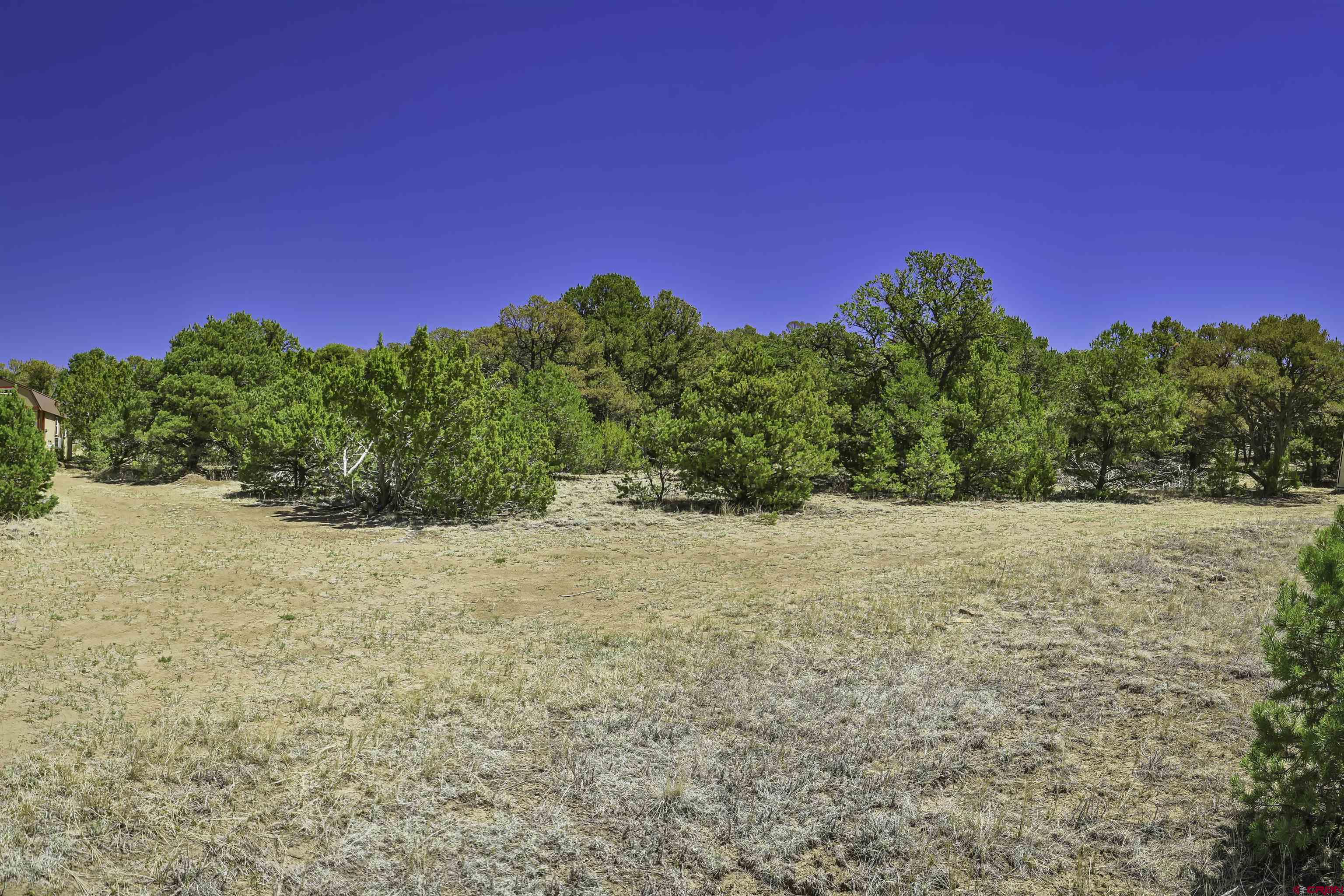 Tbd Tbd Rikki Rowdy Place Aguilar, CO 81020 - Photo 33 of 45