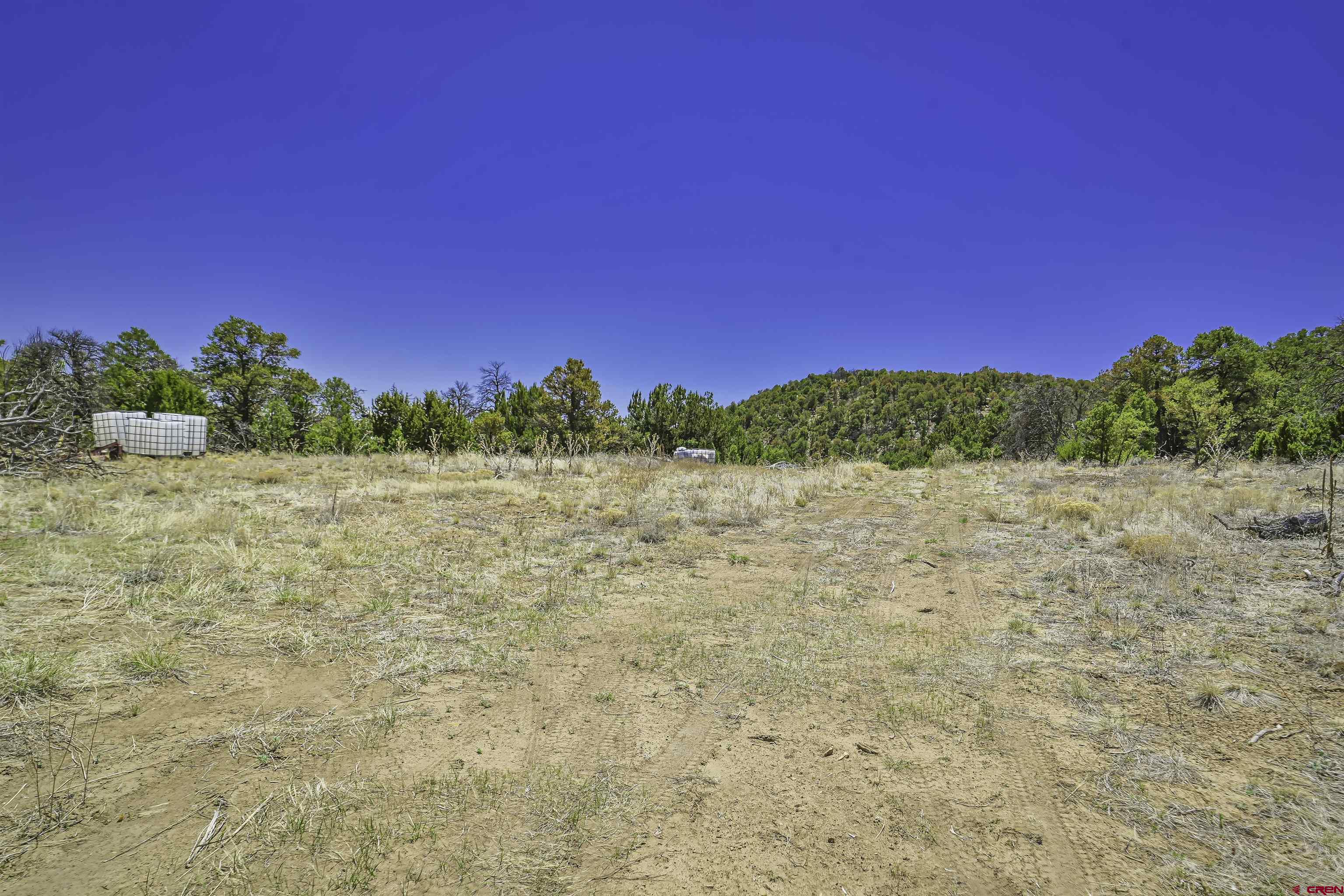 Tbd Tbd Rikki Rowdy Place Aguilar, CO 81020 - Photo 34 of 45