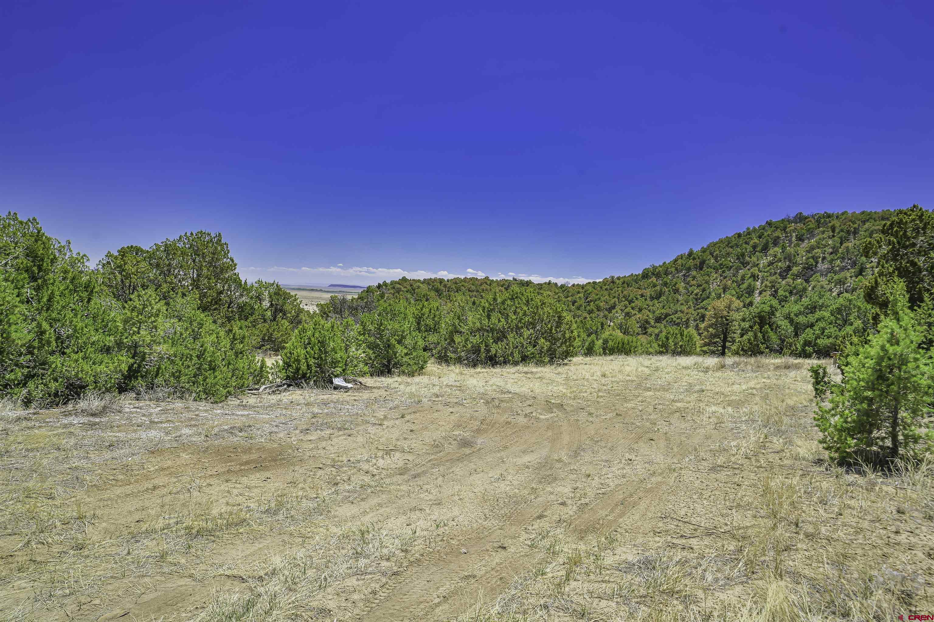 Tbd Tbd Rikki Rowdy Place Aguilar, CO 81020 - Photo 35 of 45