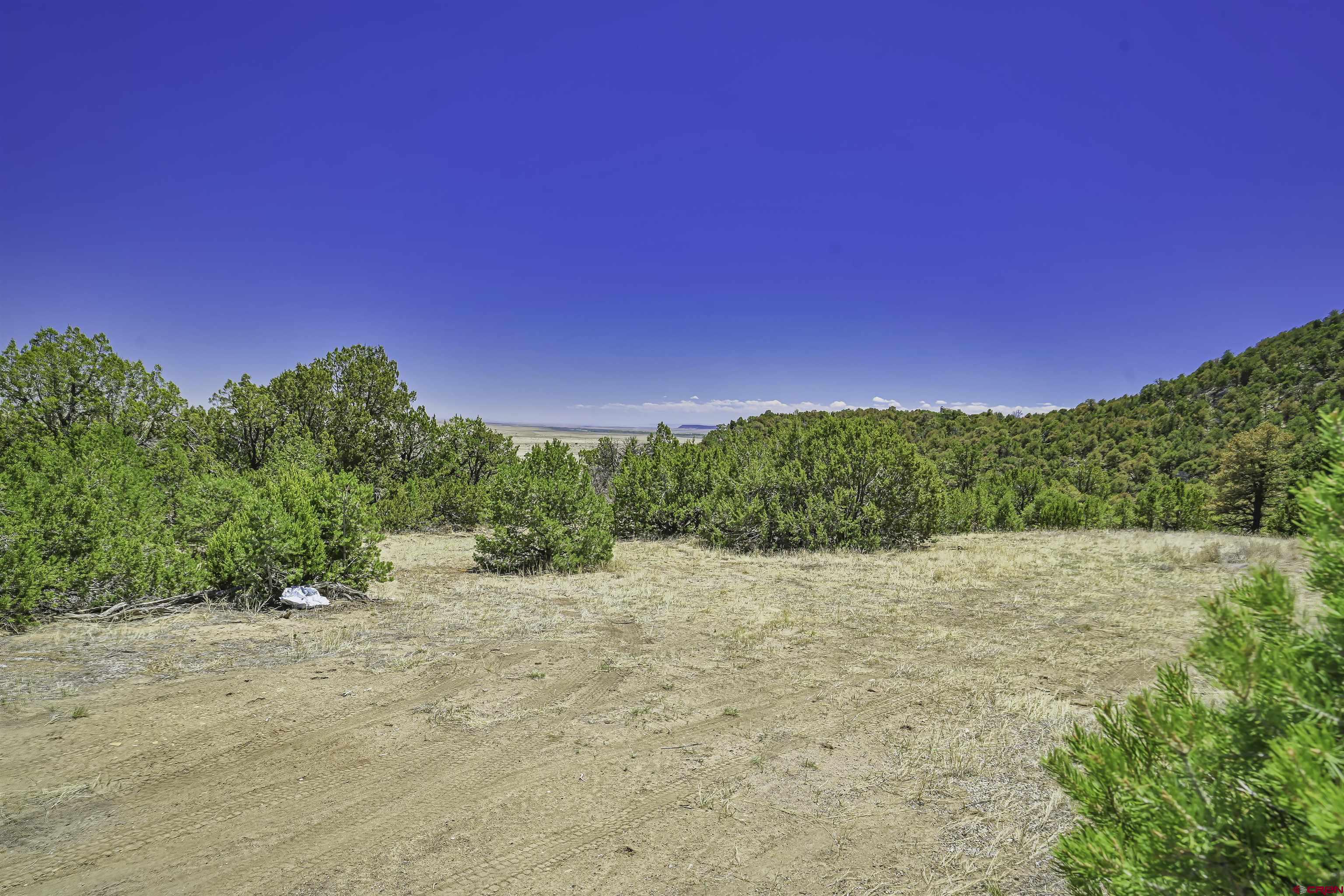 Tbd Tbd Rikki Rowdy Place Aguilar, CO 81020 - Photo 36 of 45