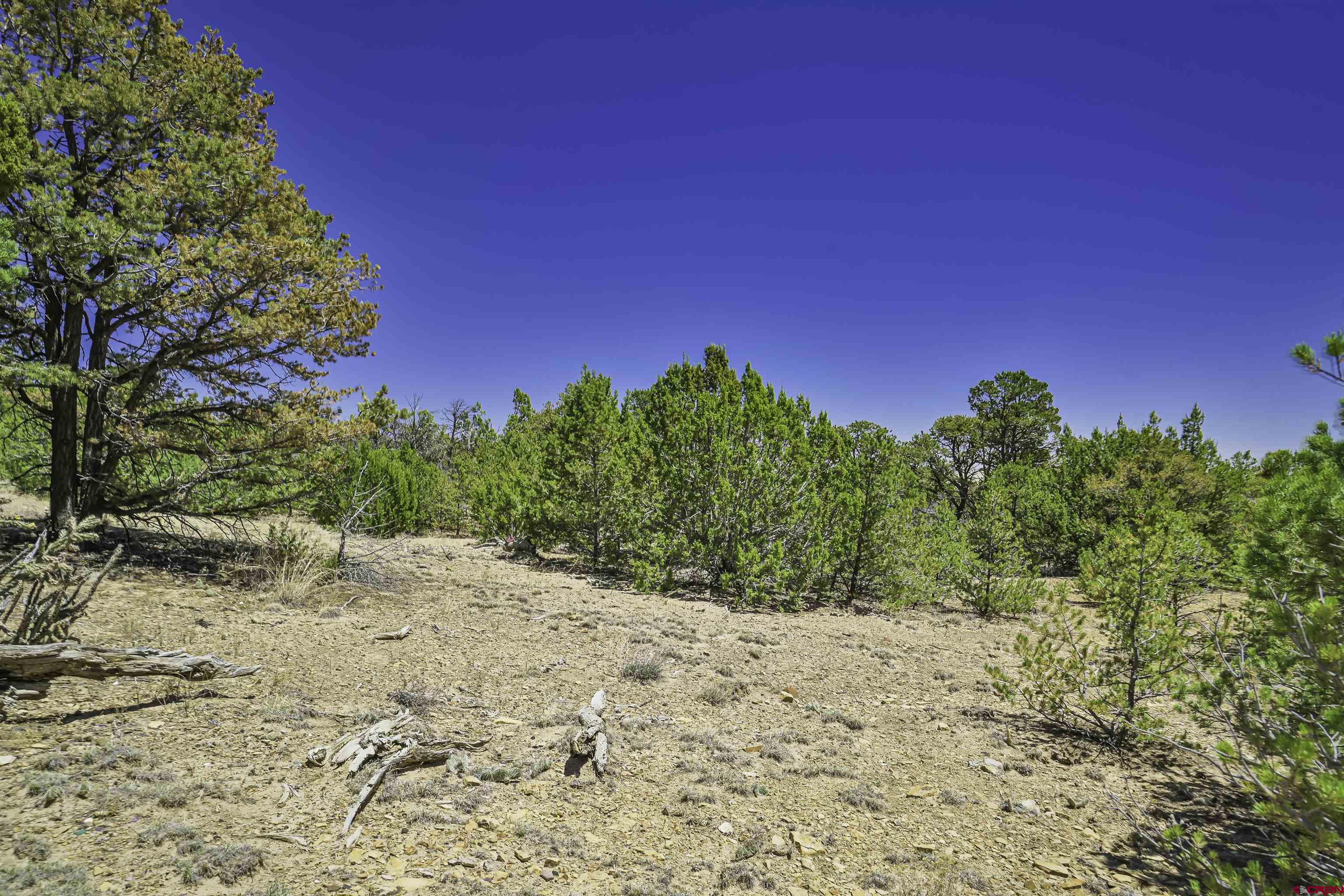 Tbd Tbd Rikki Rowdy Place Aguilar, CO 81020 - Photo 40 of 45