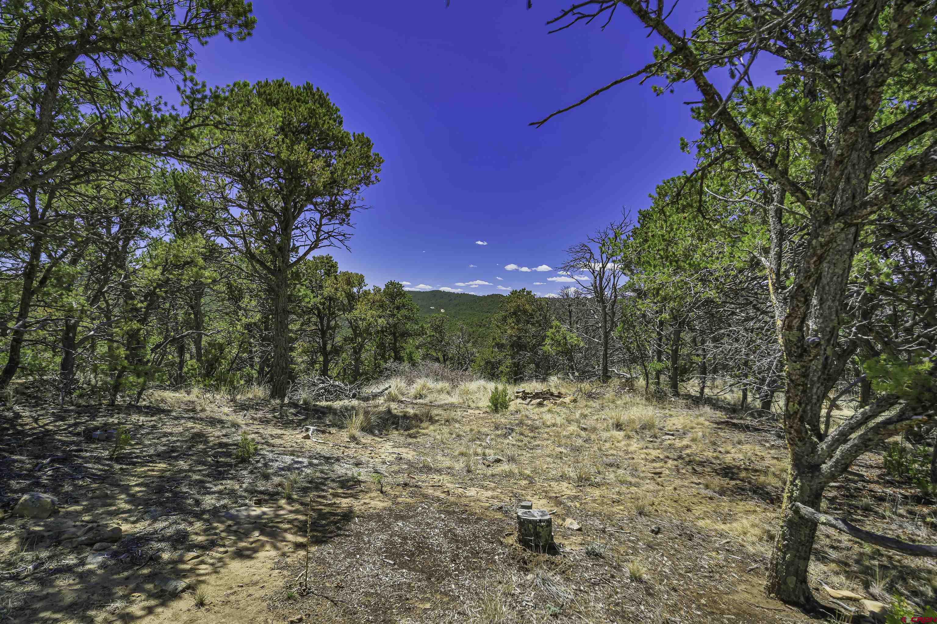 Tbd Tbd Rikki Rowdy Place Aguilar, CO 81020 - Photo 4 of 45